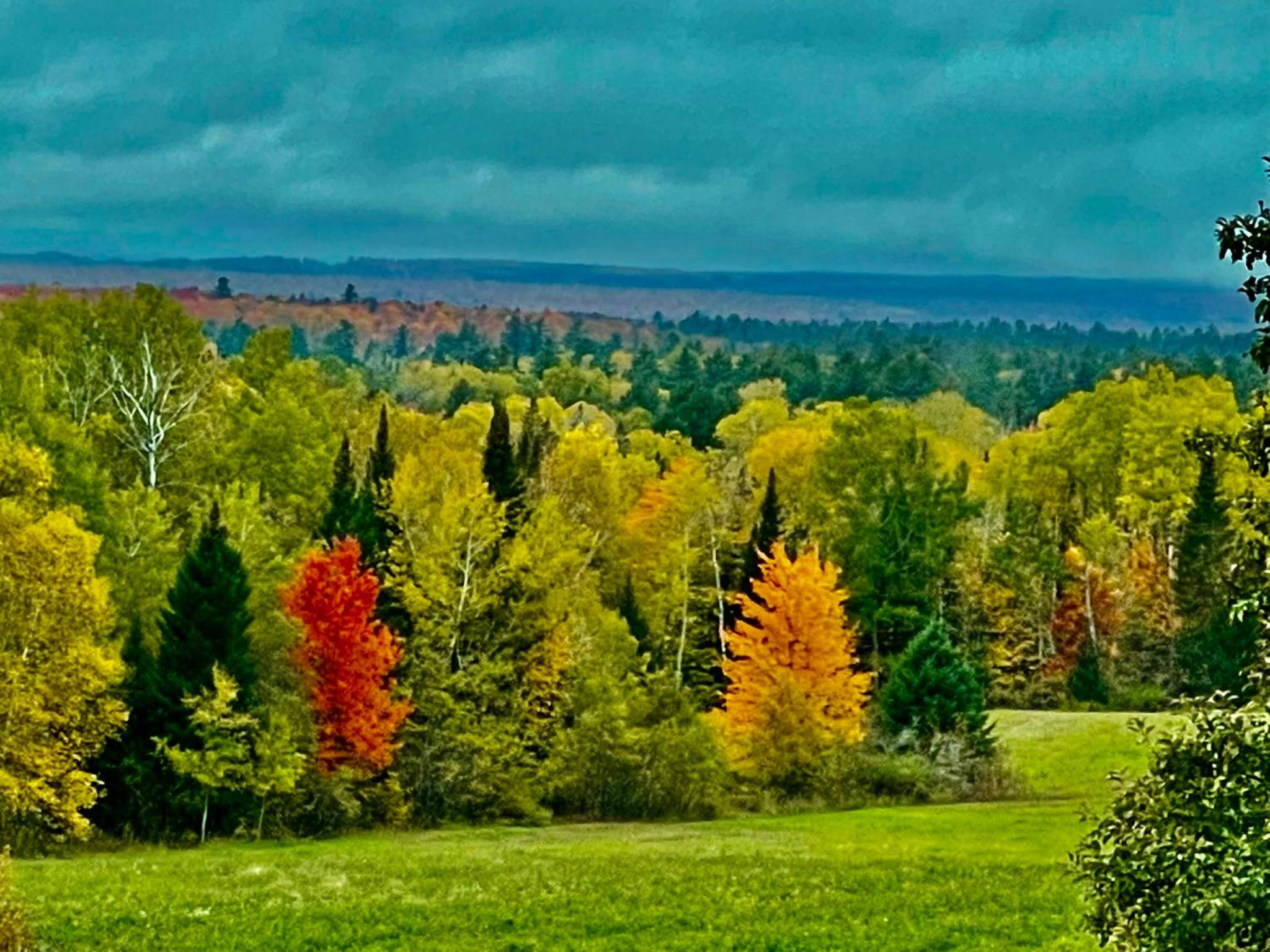 Mattawamkeag River Cottage