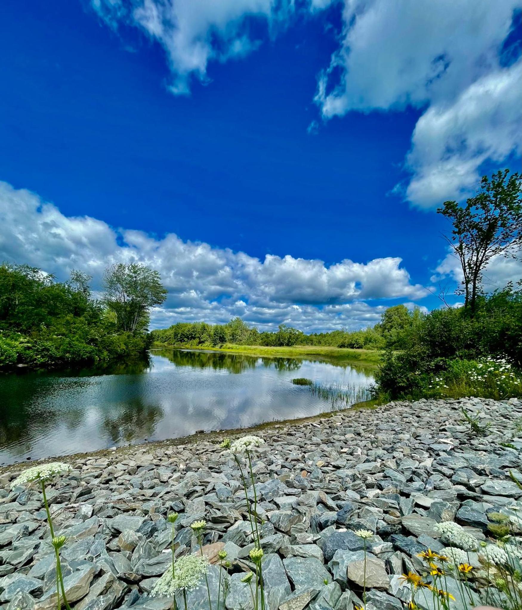 Mattawamkeag River Cottage