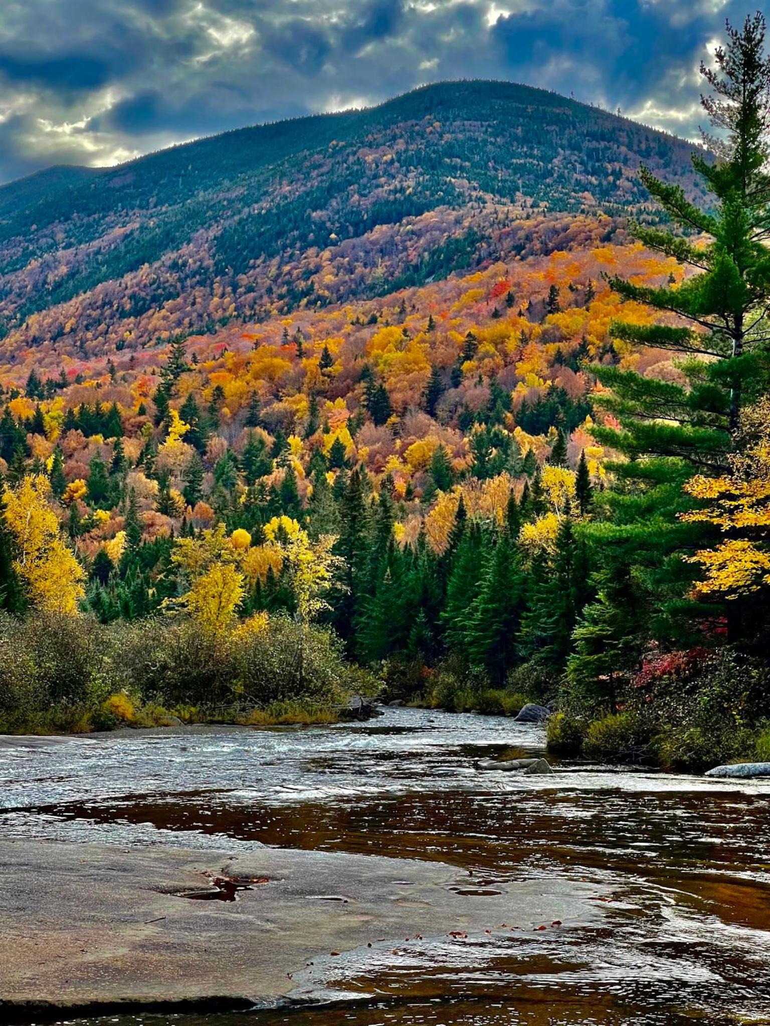 Mattawamkeag River Cottage