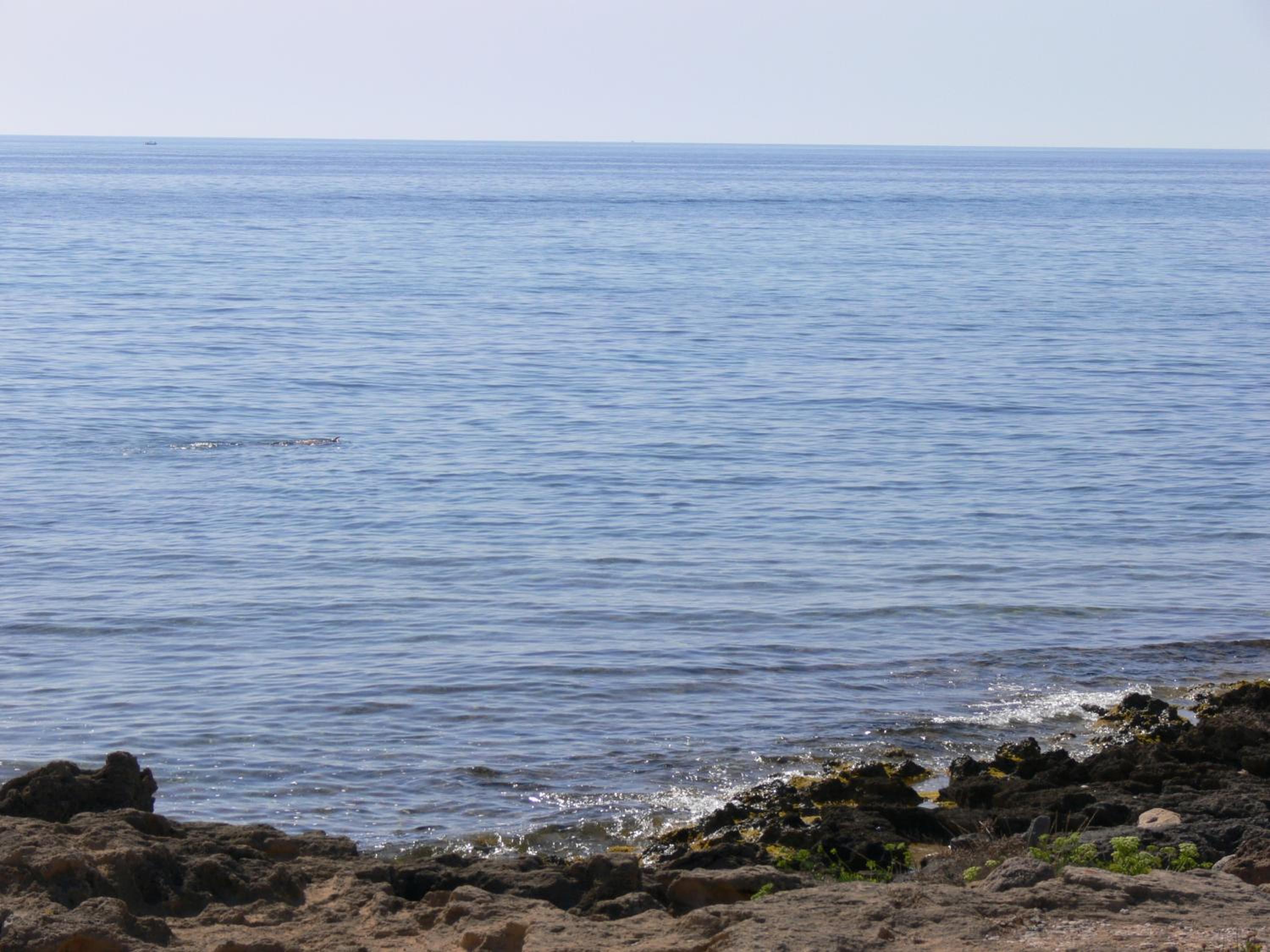 Photo 31