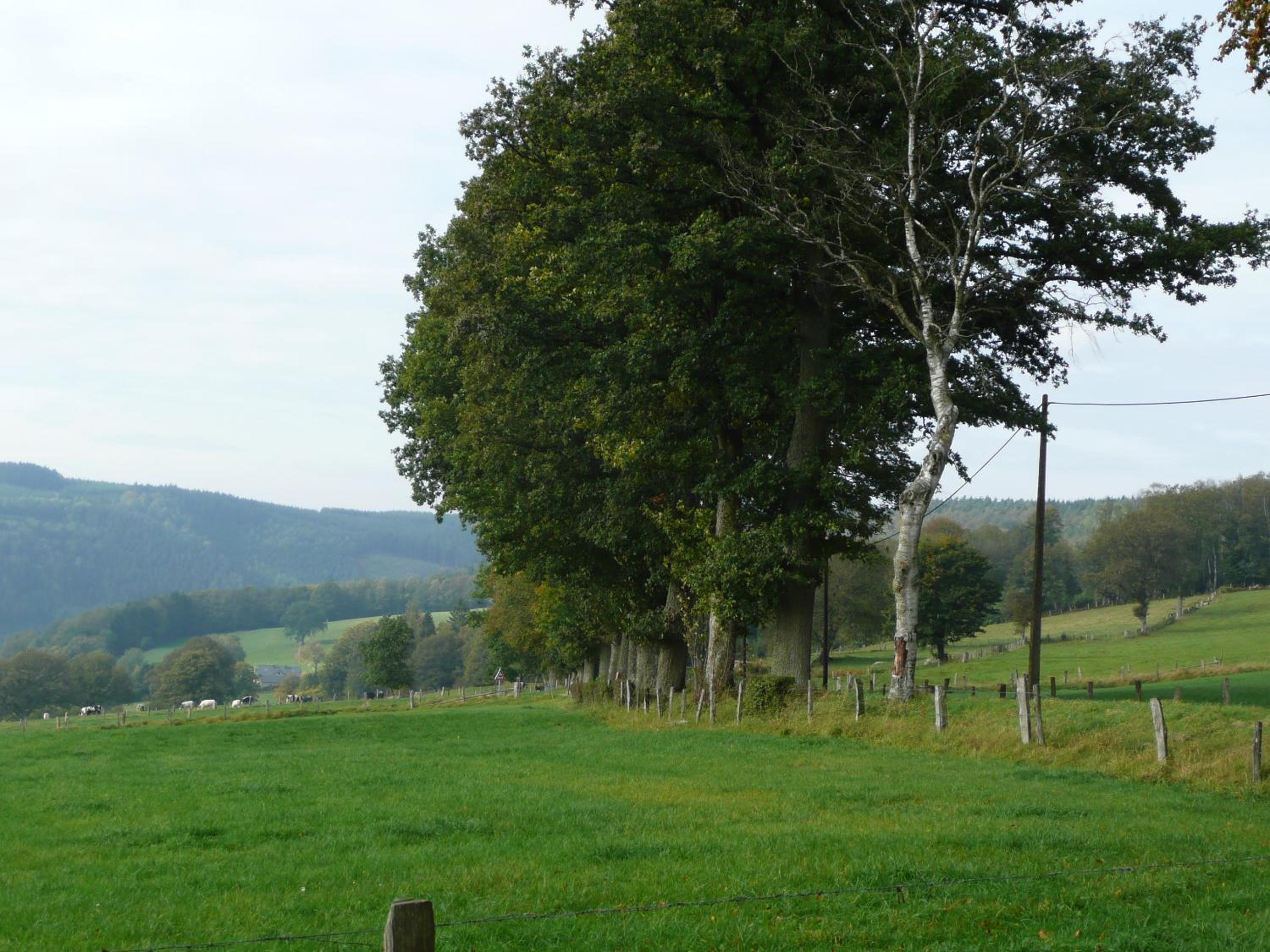Le Fournil Gîte Rural