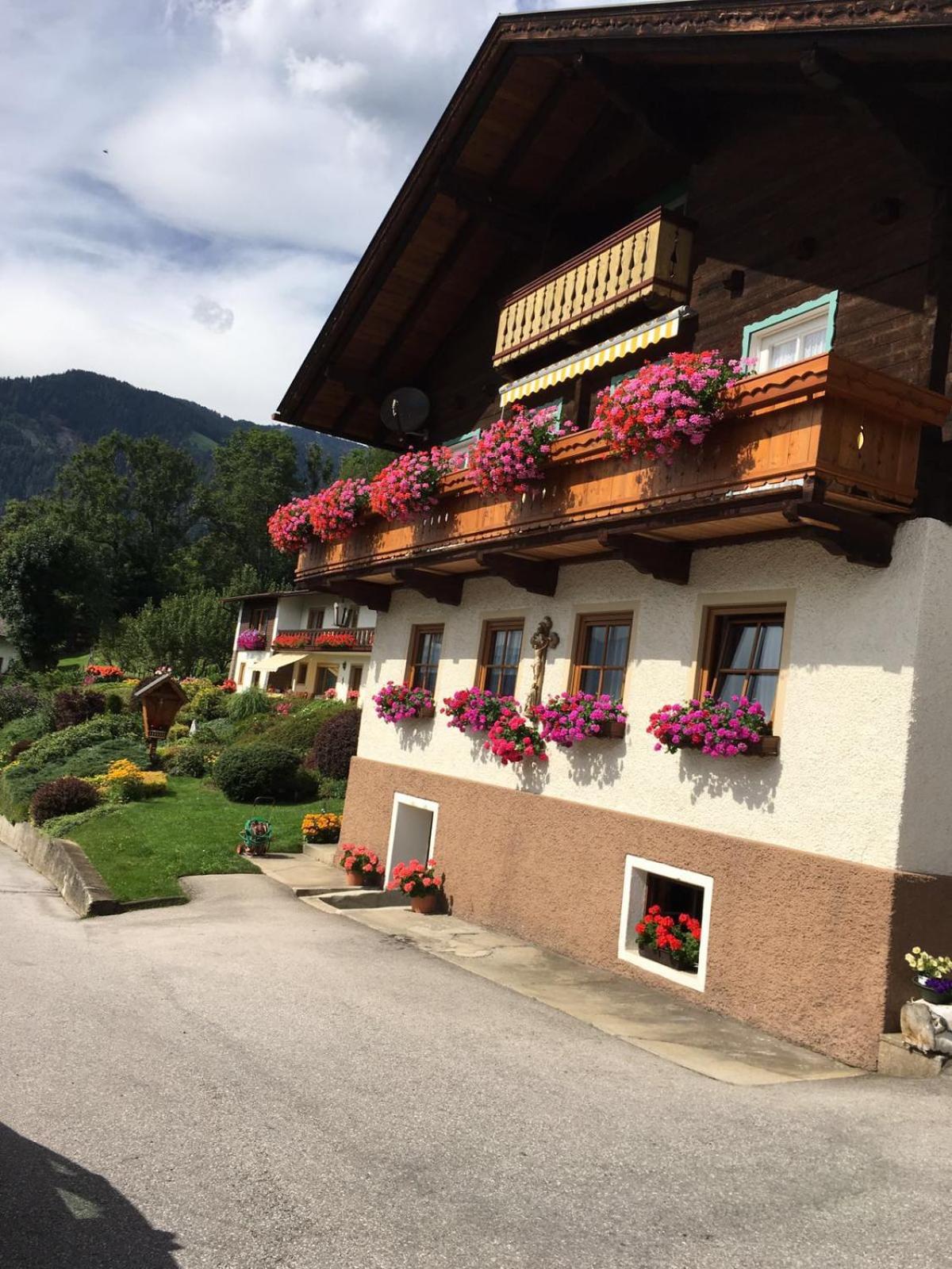 Ferienwohnung Haus Gomig