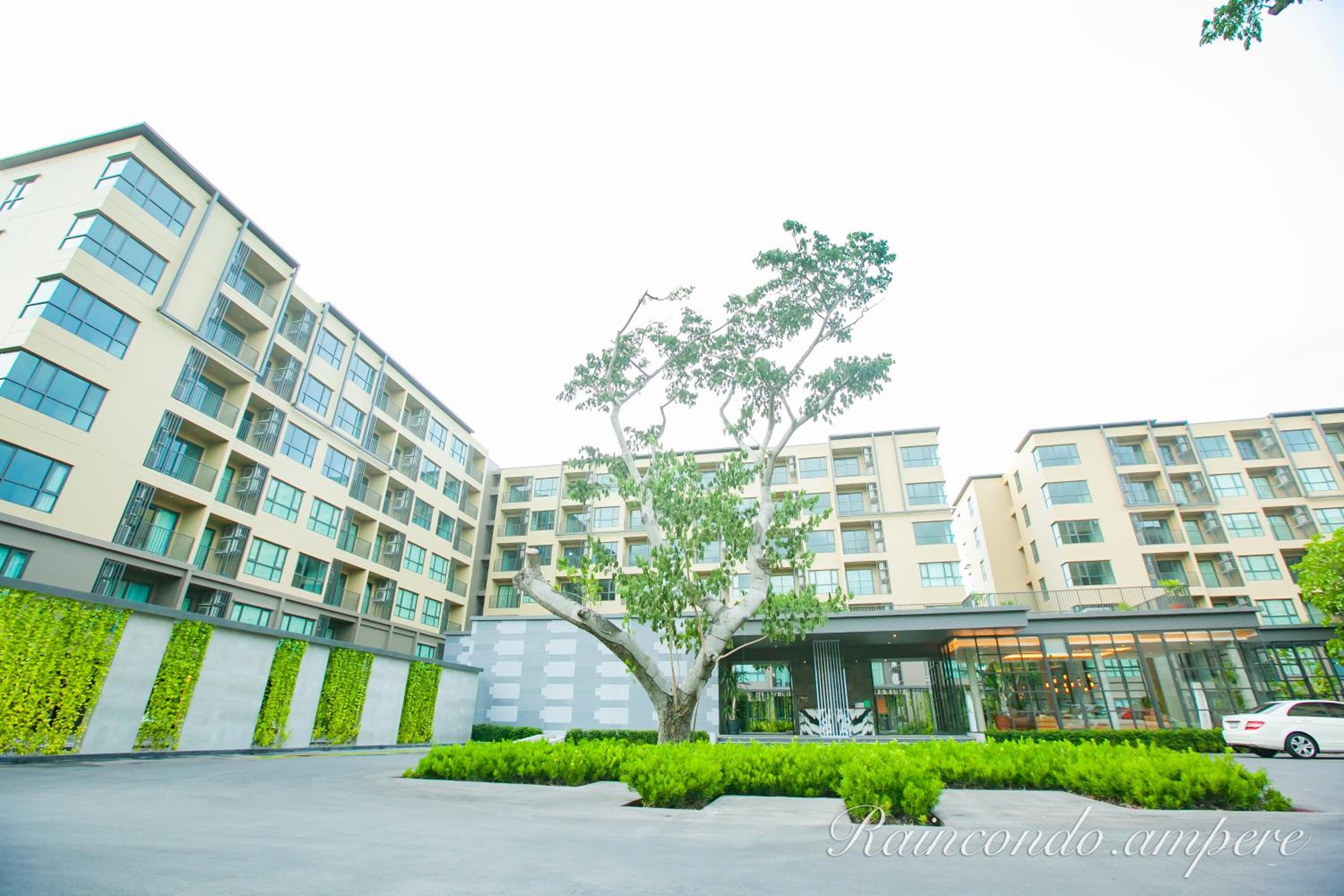 Raincondo Ampere