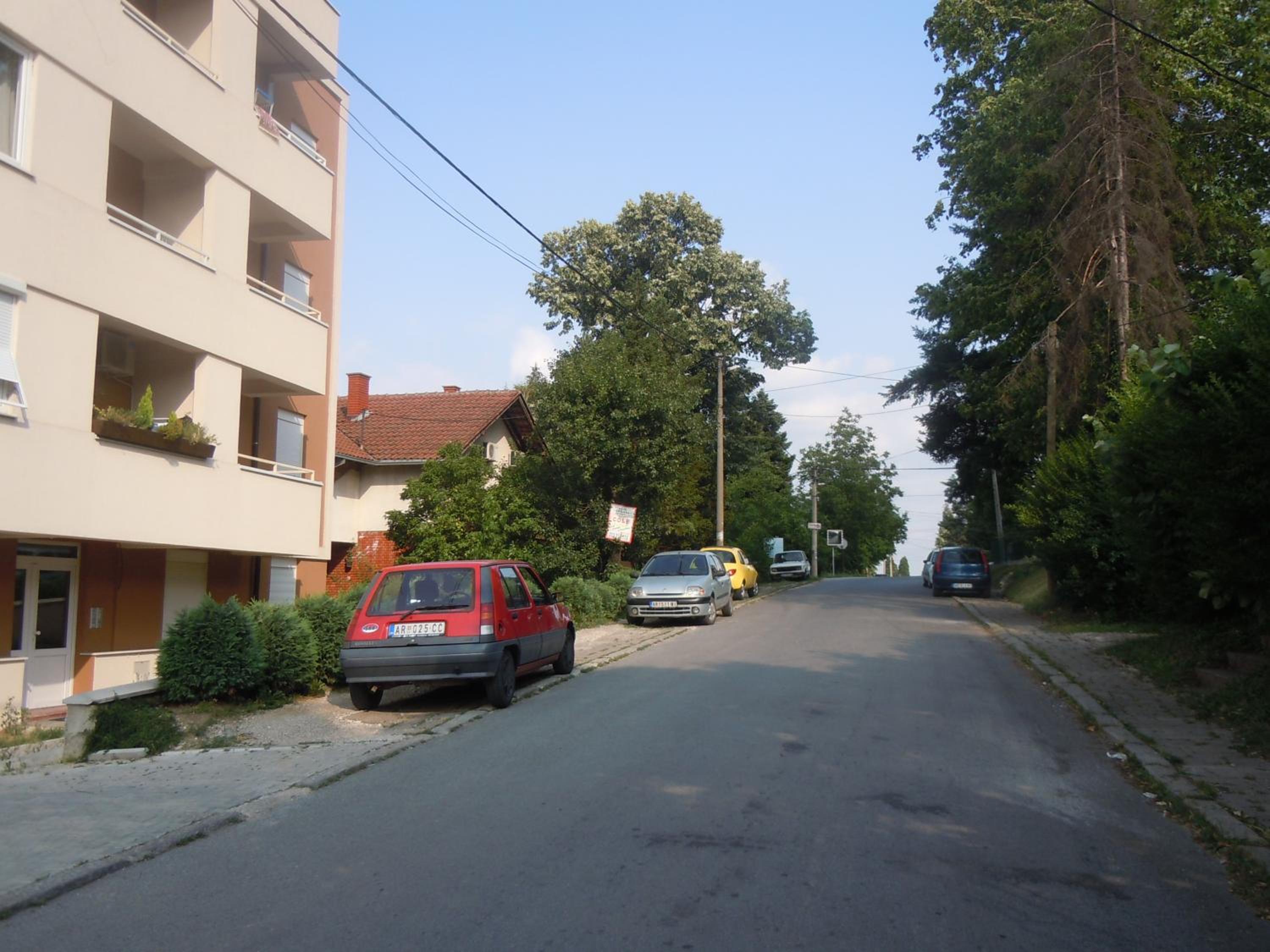Photo 44