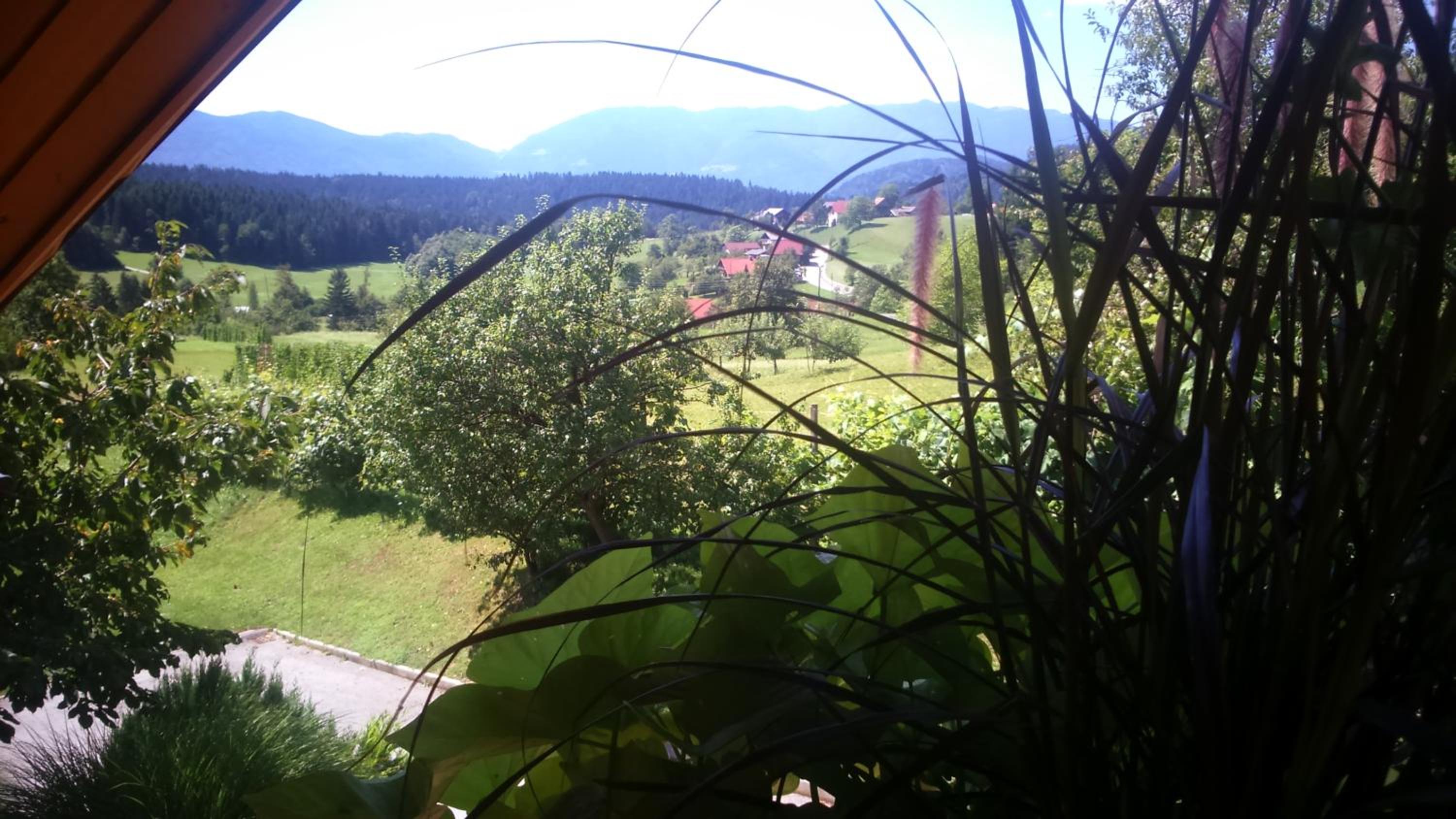 Photo 25