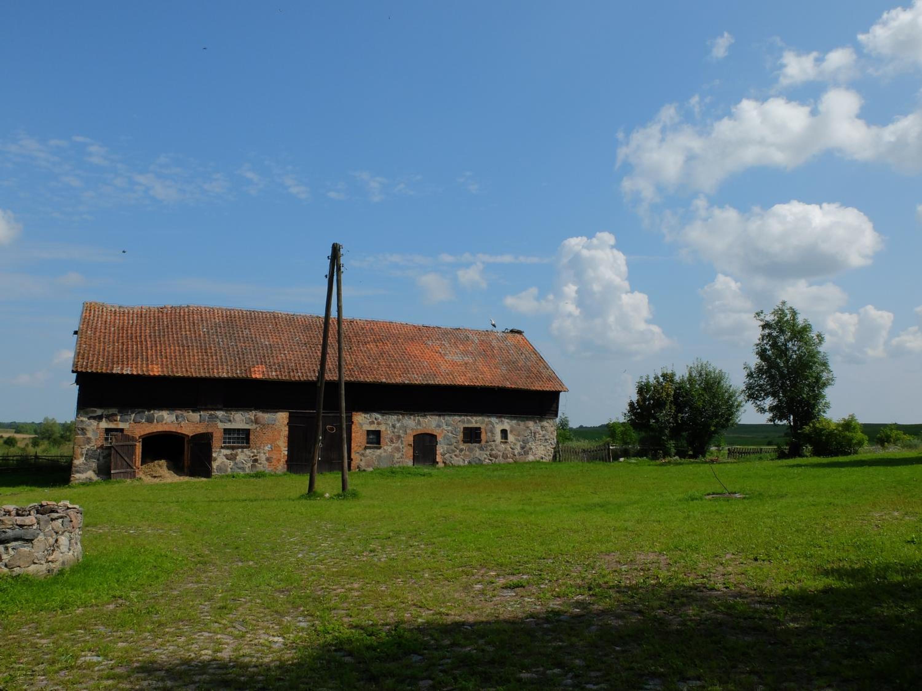 Photo 41