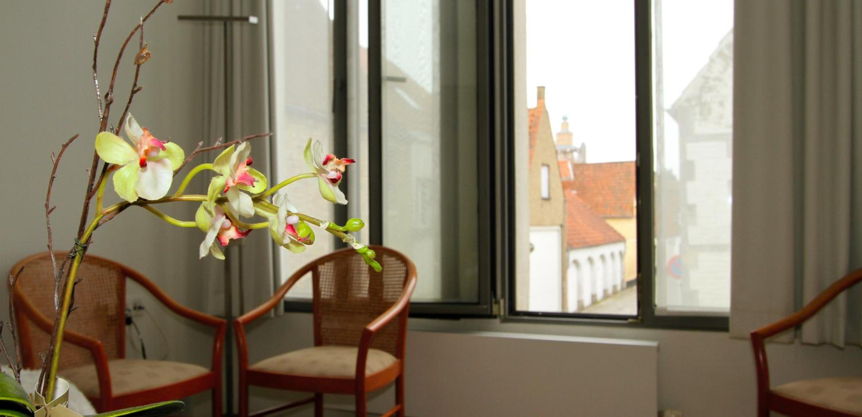 Bruges Vacations - BB 't Walleke - Property Image 11