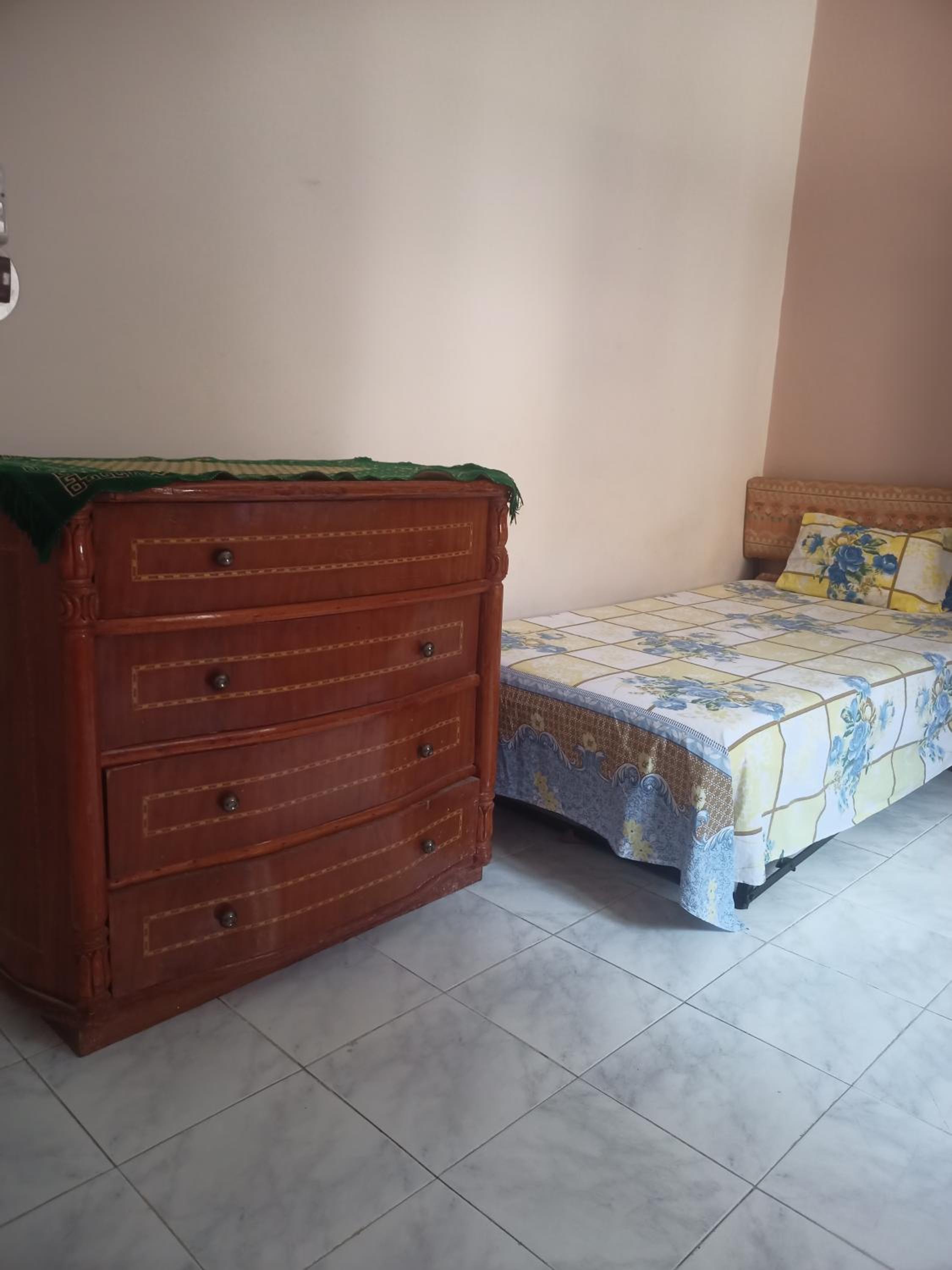 شقة بحر إسكندرية Bianchi Breeze