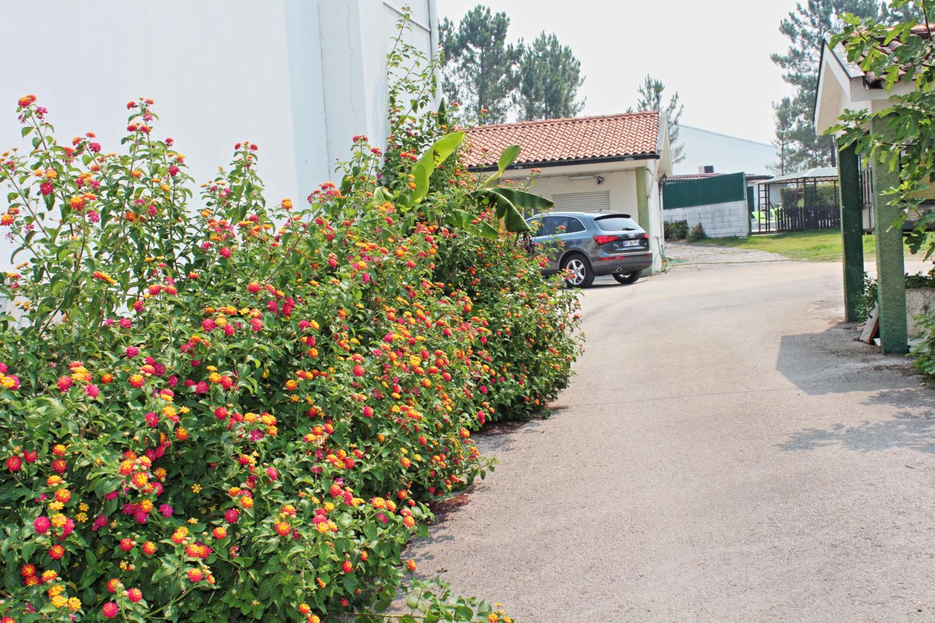 Residencial Pinho Verde view 5