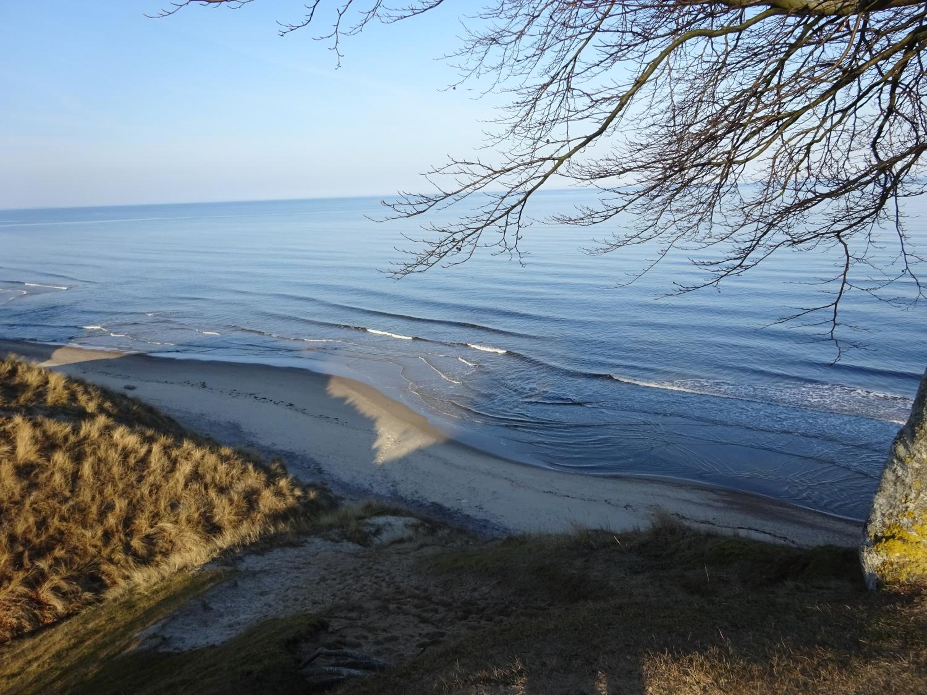 Solrosen i Simrishamn - Österlen