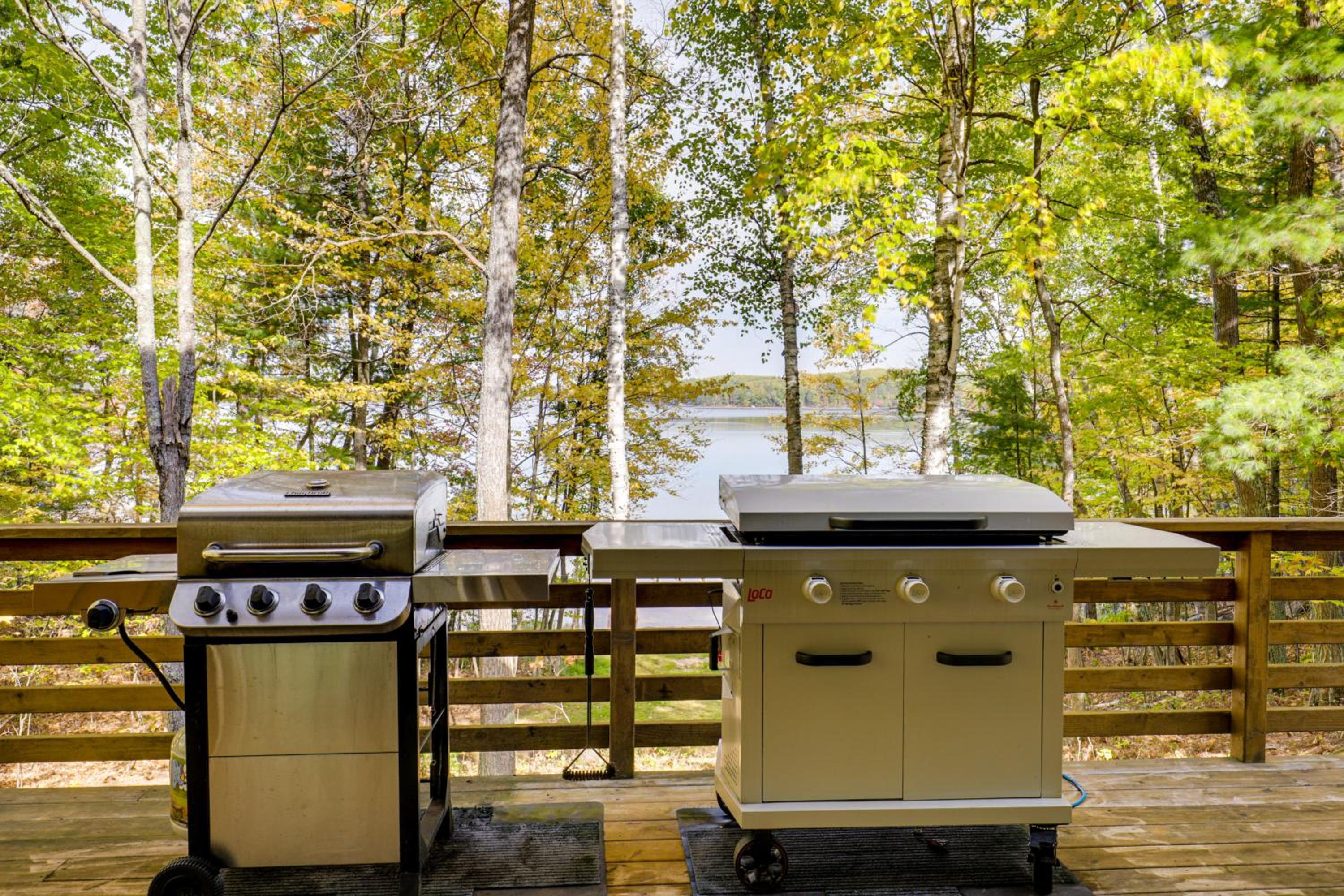 Big Portage Lake Home Deck, Dock, Fire Pit