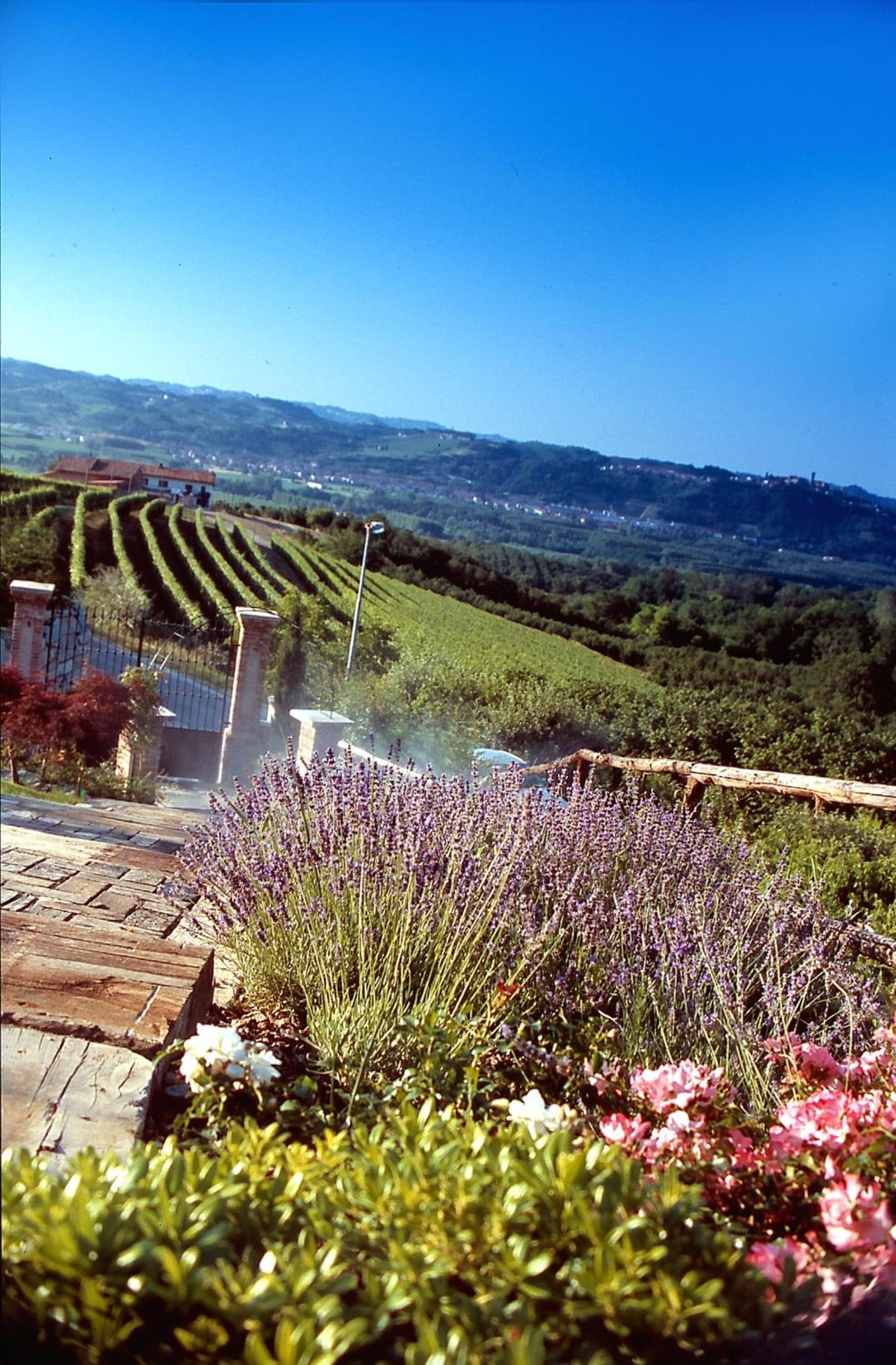 Villa Bricco dei Cogni