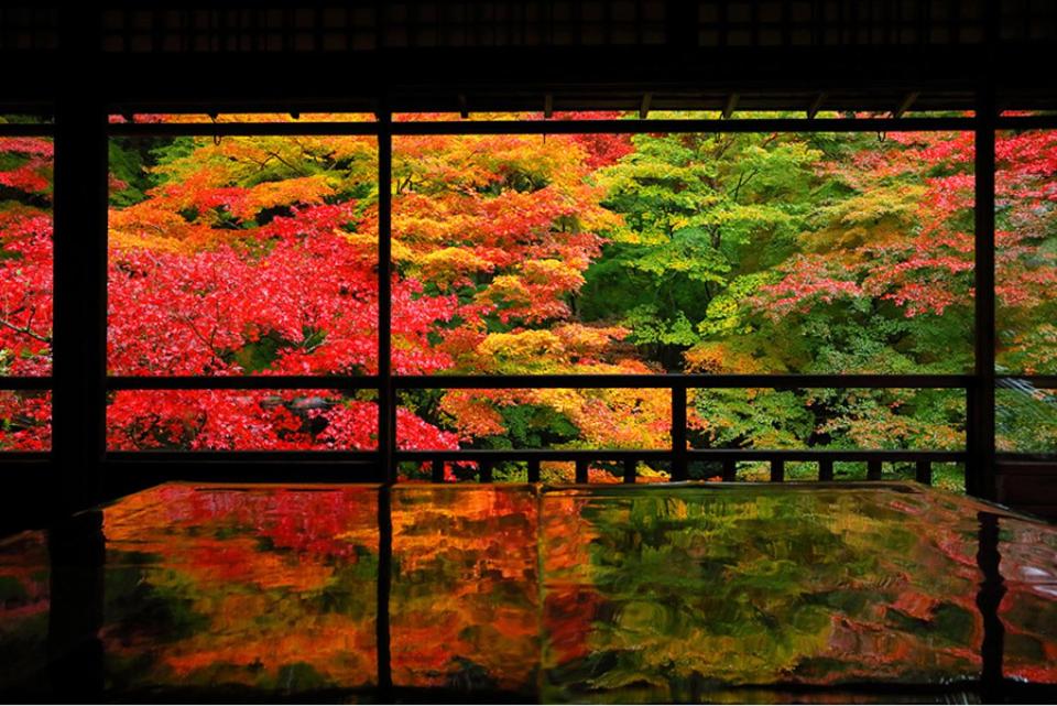 sunshin dream
