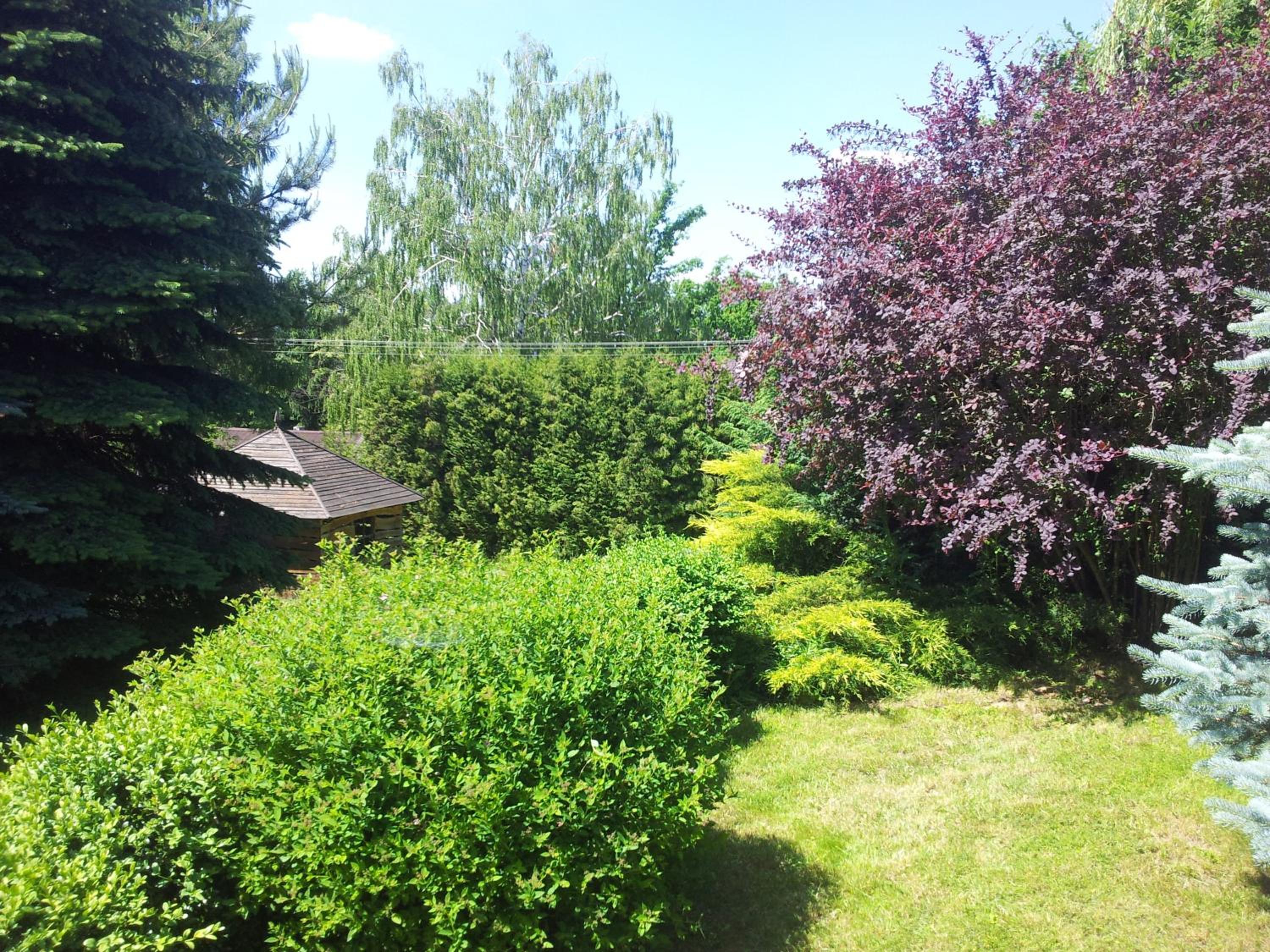 Photo 47