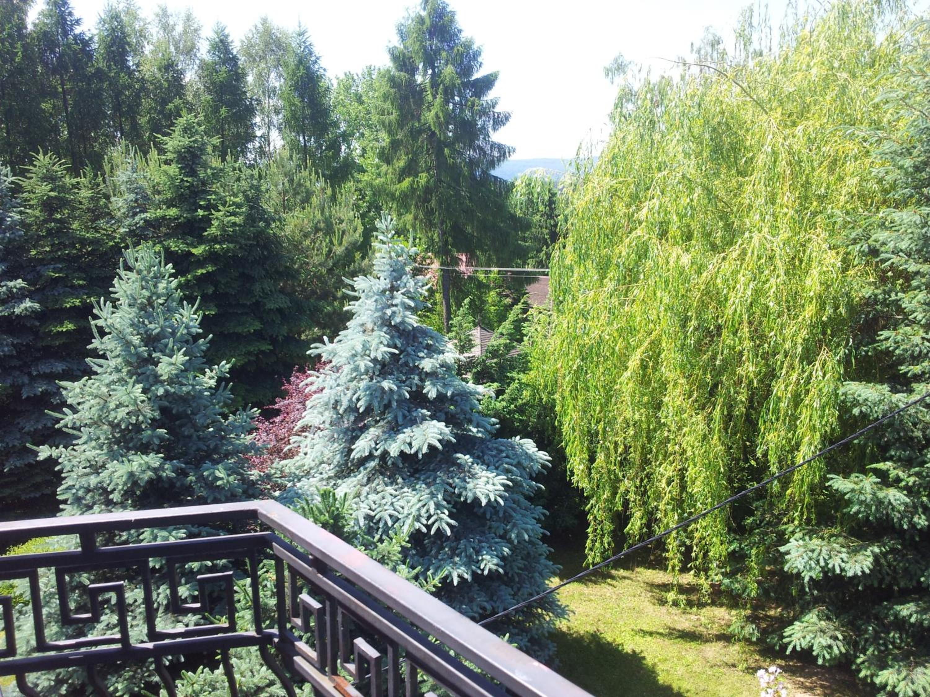 Photo 48