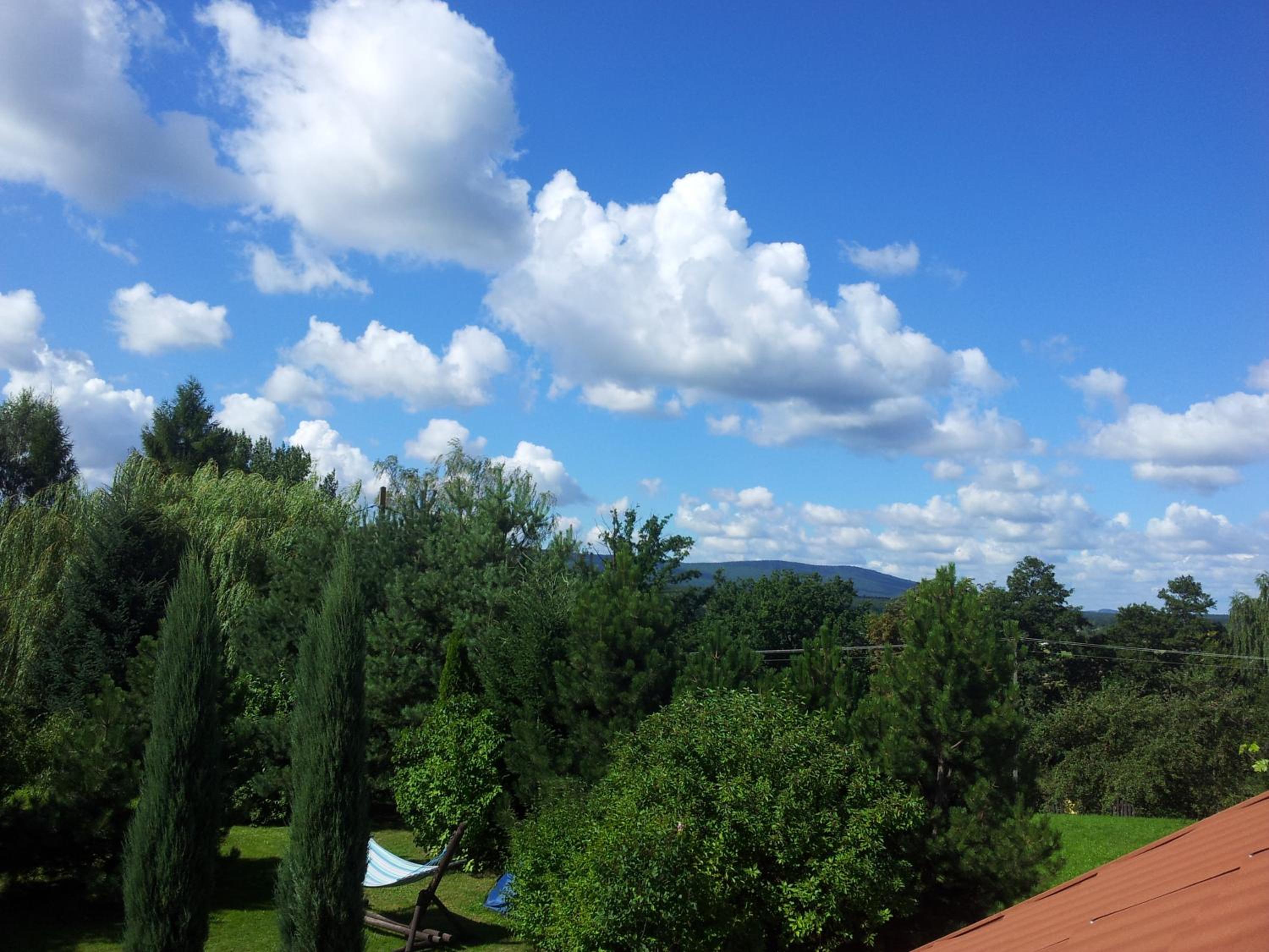 Świerkowe Wzgórze view 4