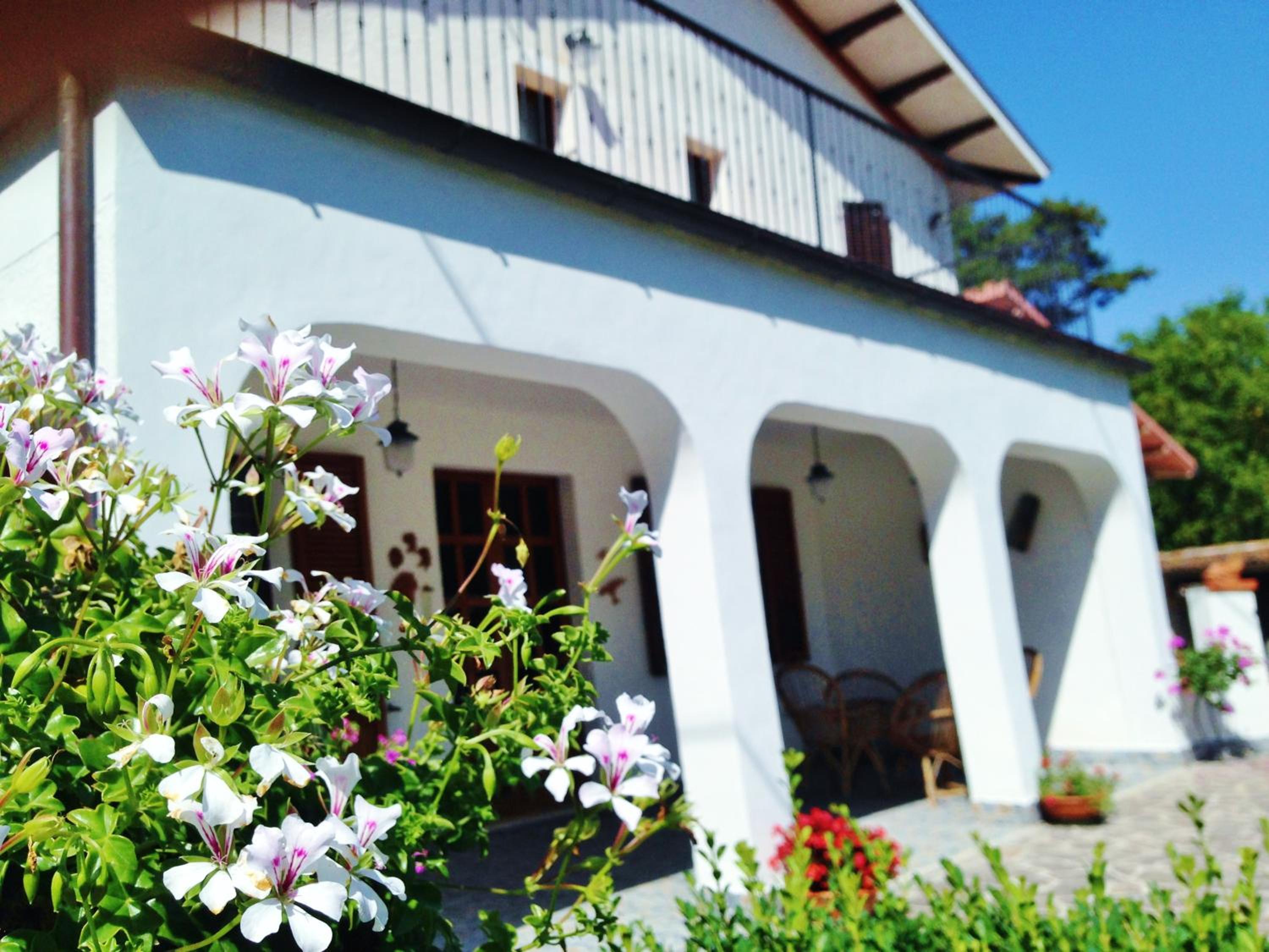 B&B Villa Incrocca view 5