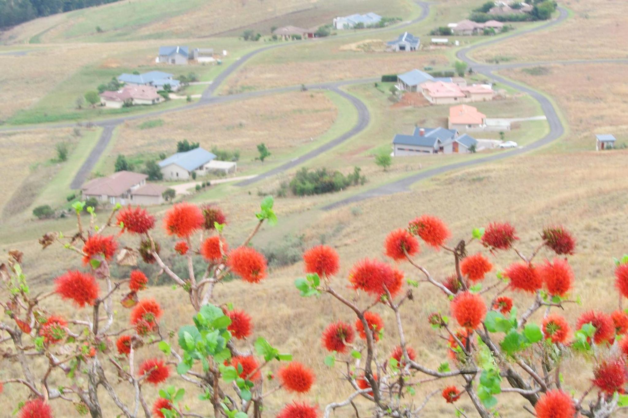 Luxury 4BR Drakensberg Home Private Pool and Braai