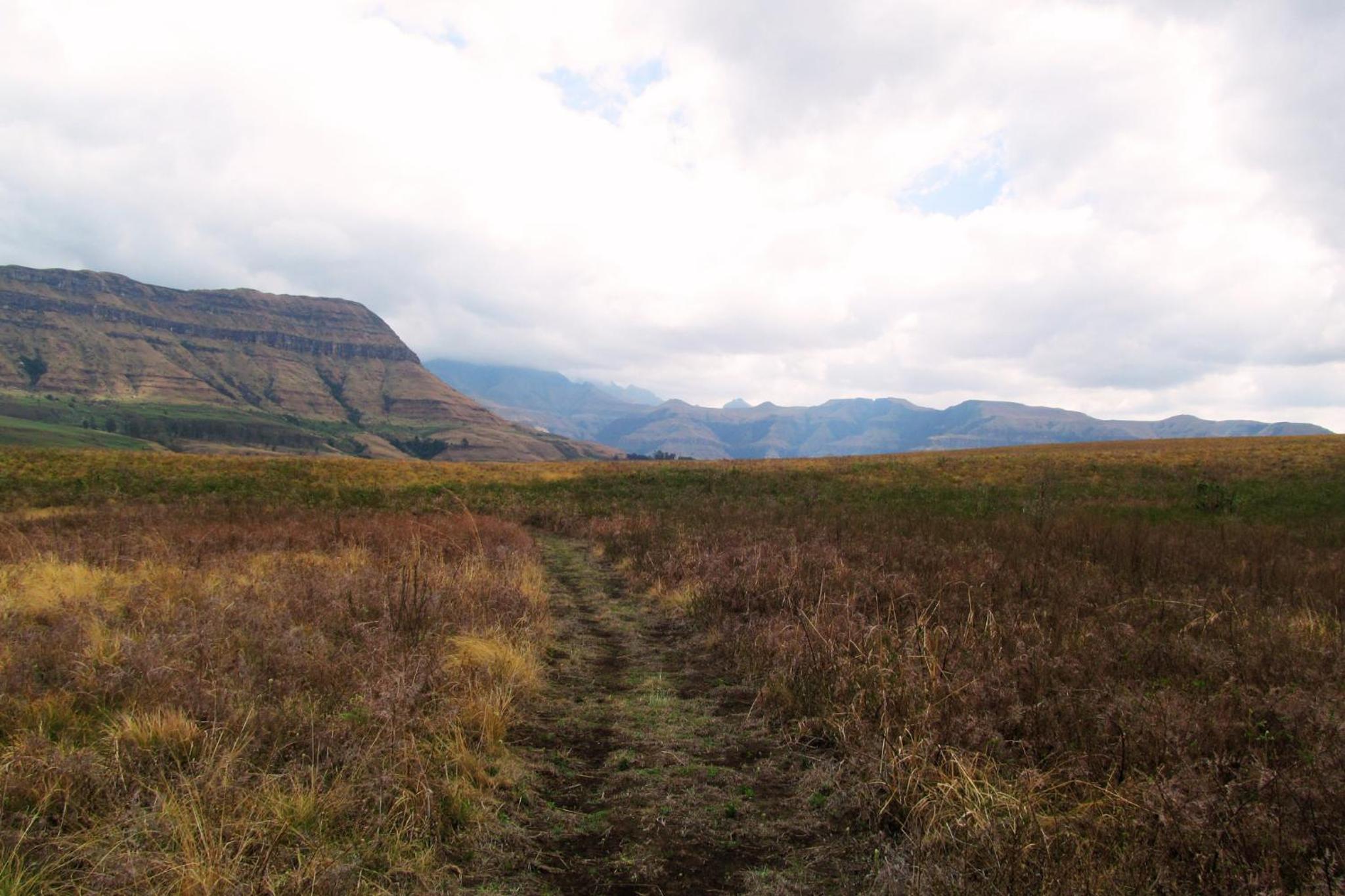 Luxury 4BR Drakensberg Home Private Pool and Braai