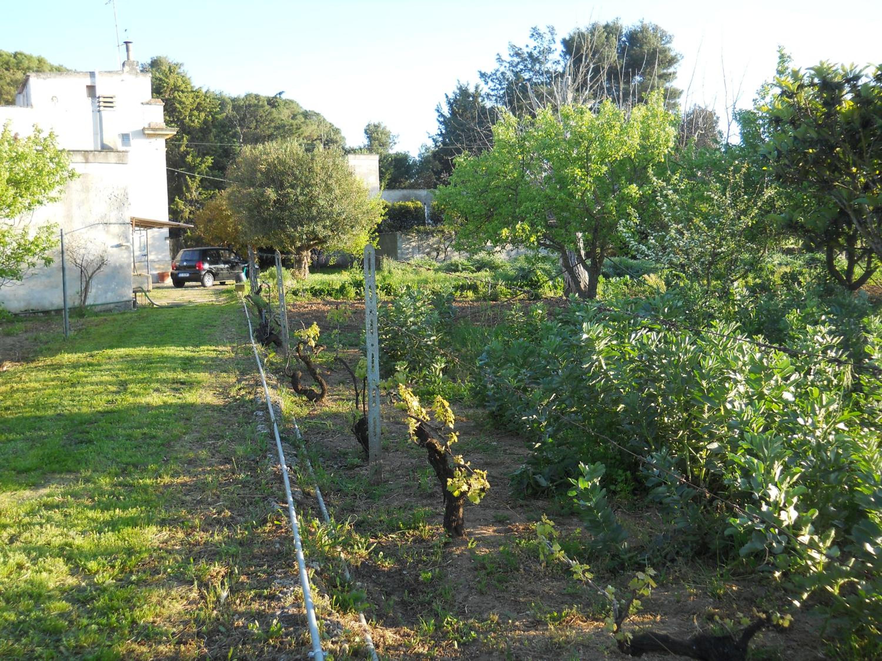 Photo 27
