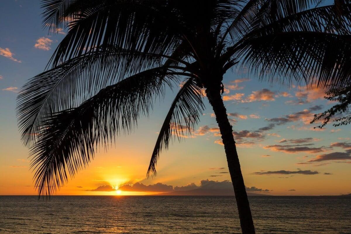 Wailea Ekolu 907 · WE 907 2BD Wailea with Breathtaking Ocean Vie