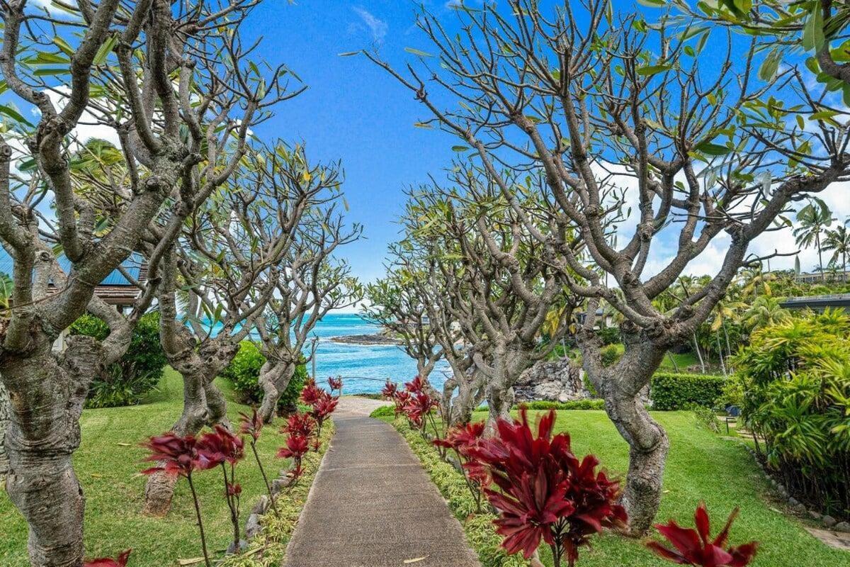 Alaeloa 38 · ALA 38 Beautifully Remodel 3BD Partial Ocean Views