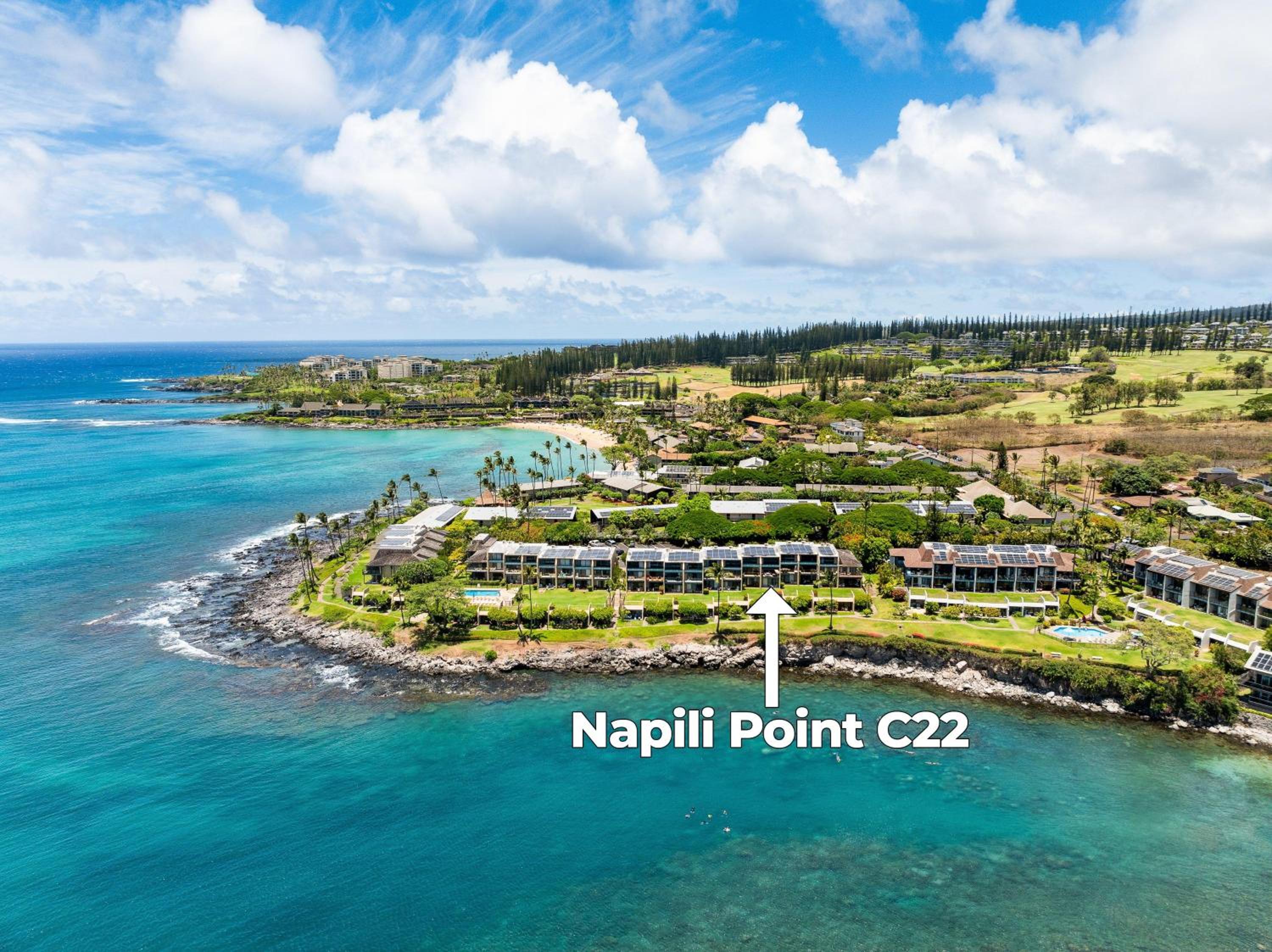 Napili Point C22 · NP C22 Oceanfront Views from 2BD West Maui Co