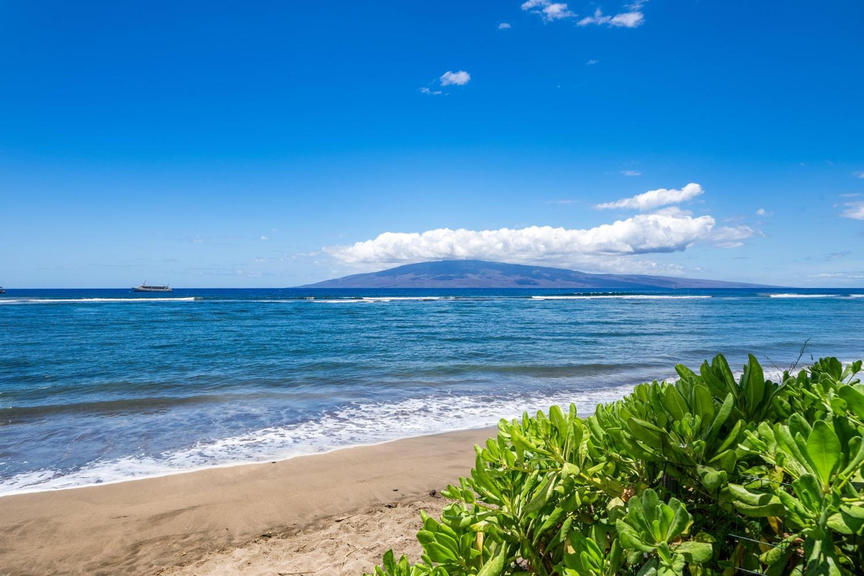 Lahaina Shores 428 · LS 428 Dream Vacation Studio by the Beach a