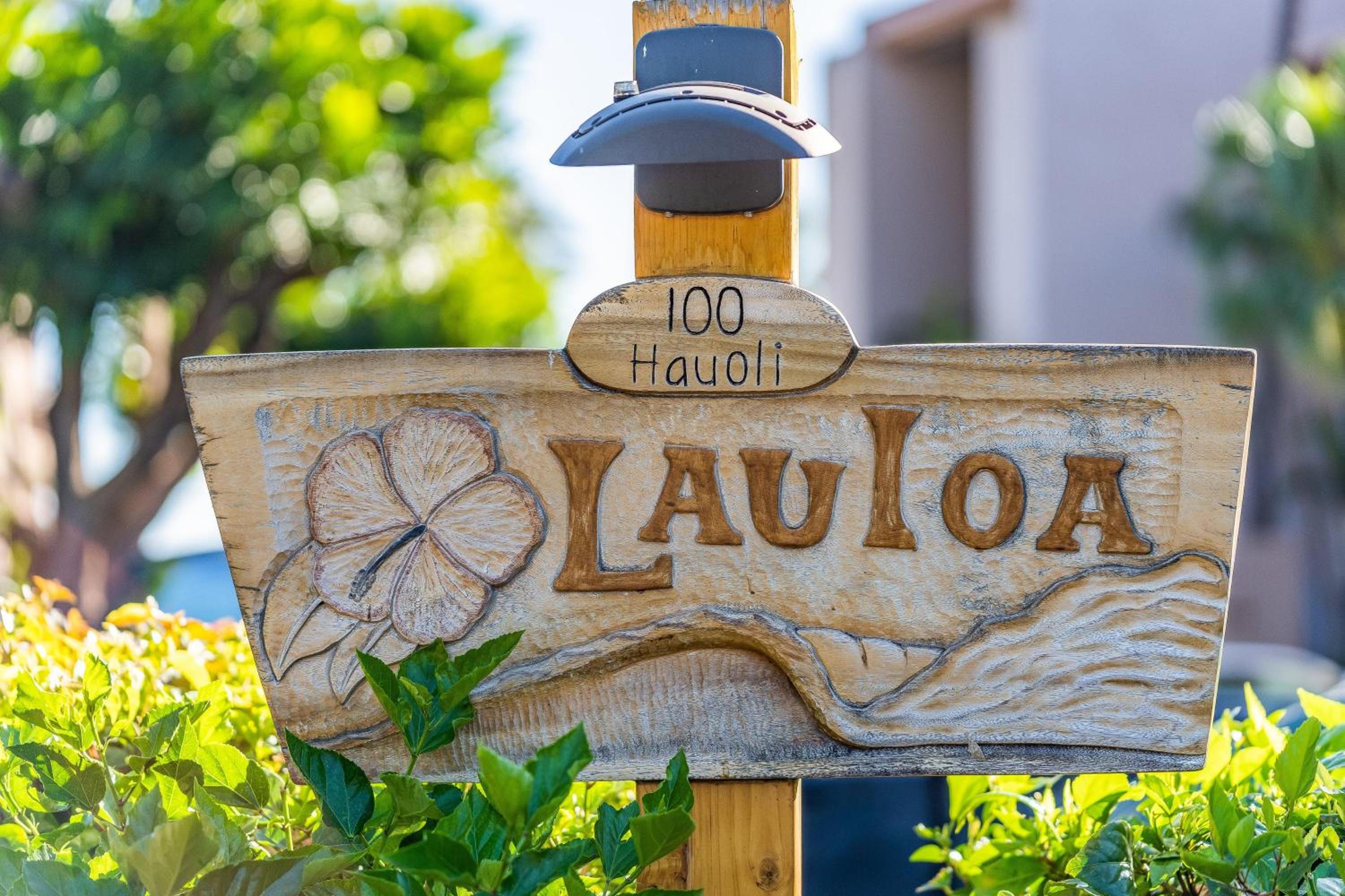 Lauloa 303