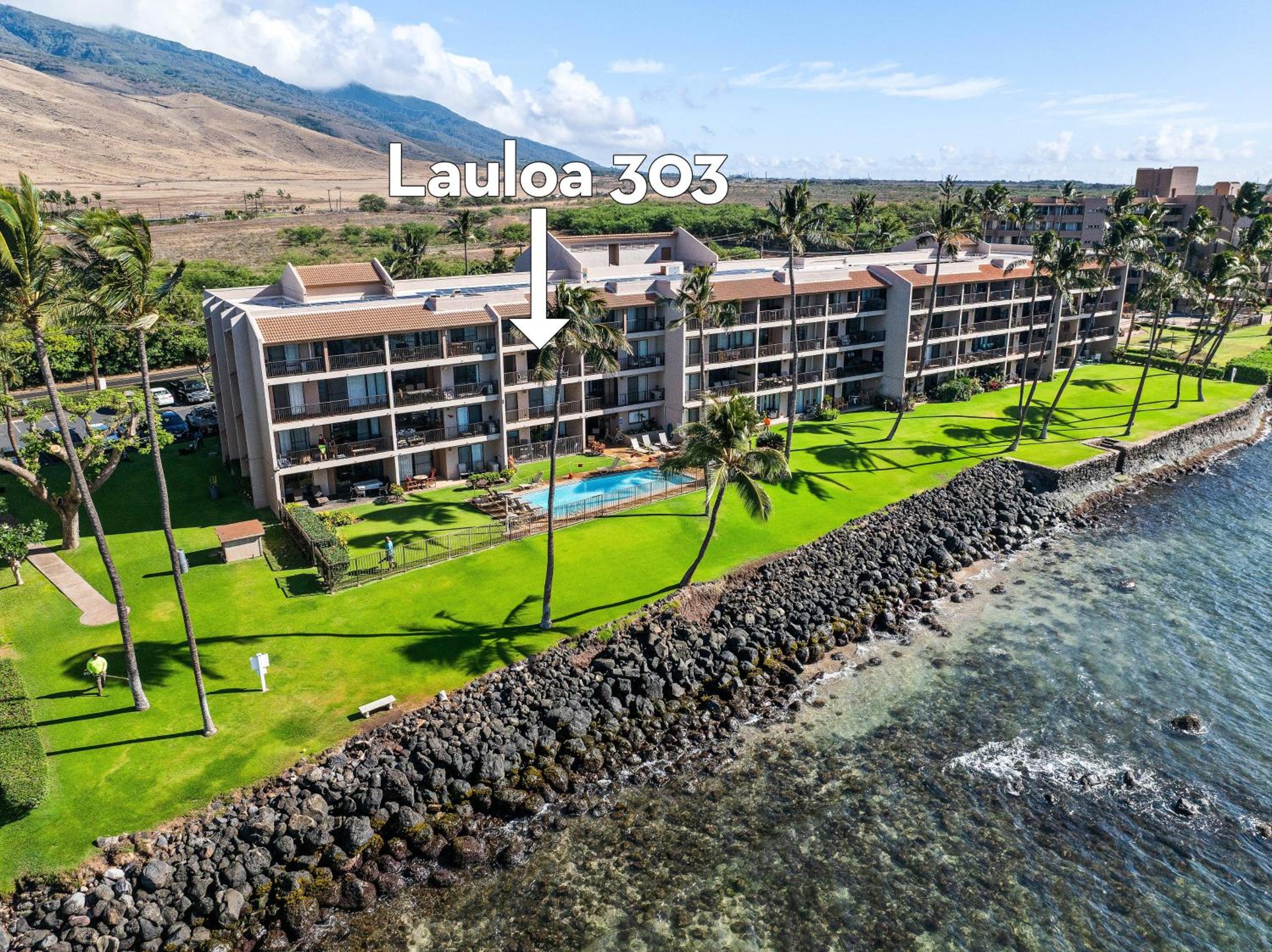 Lauloa 303