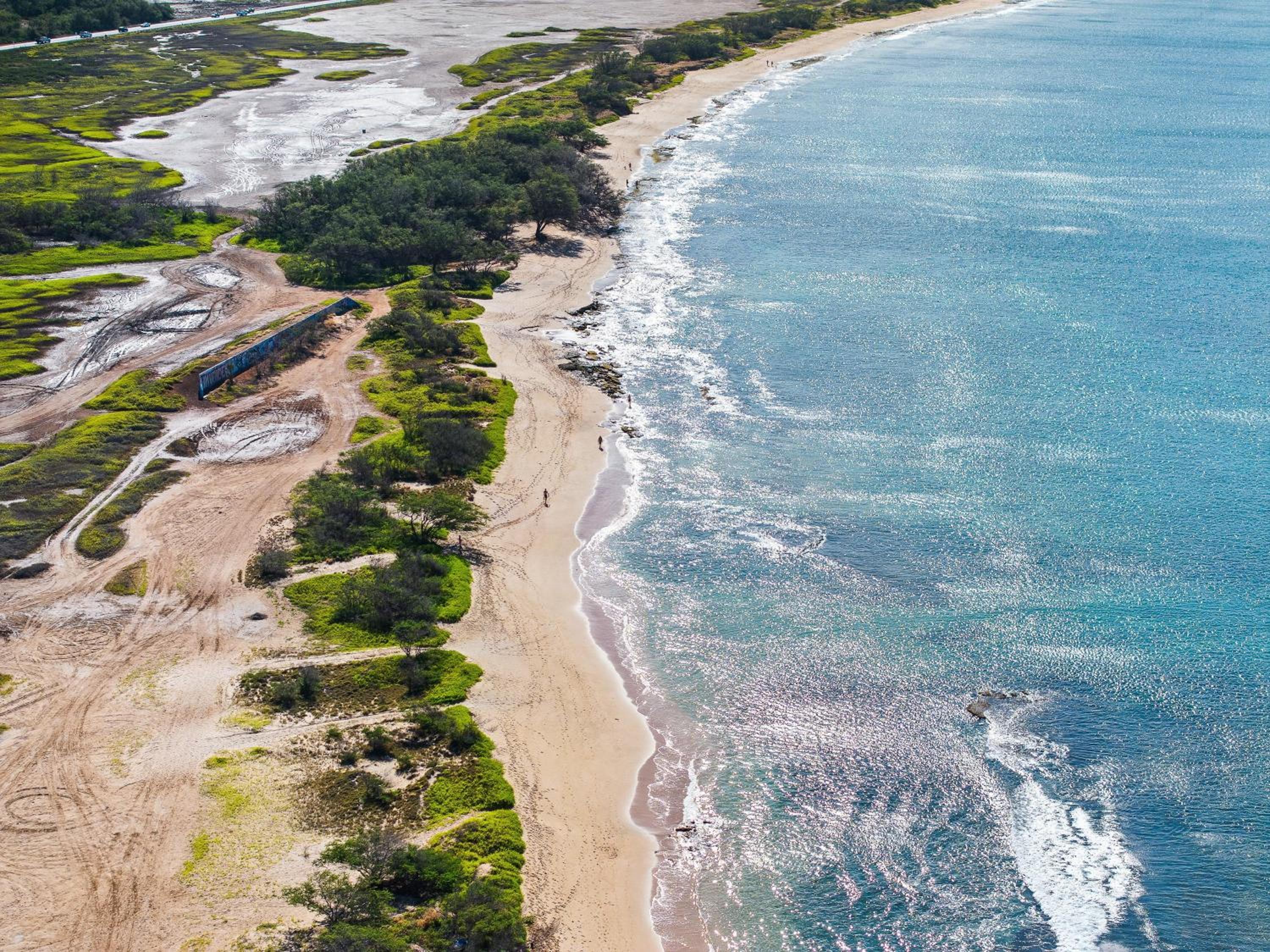 Lauloa 303
