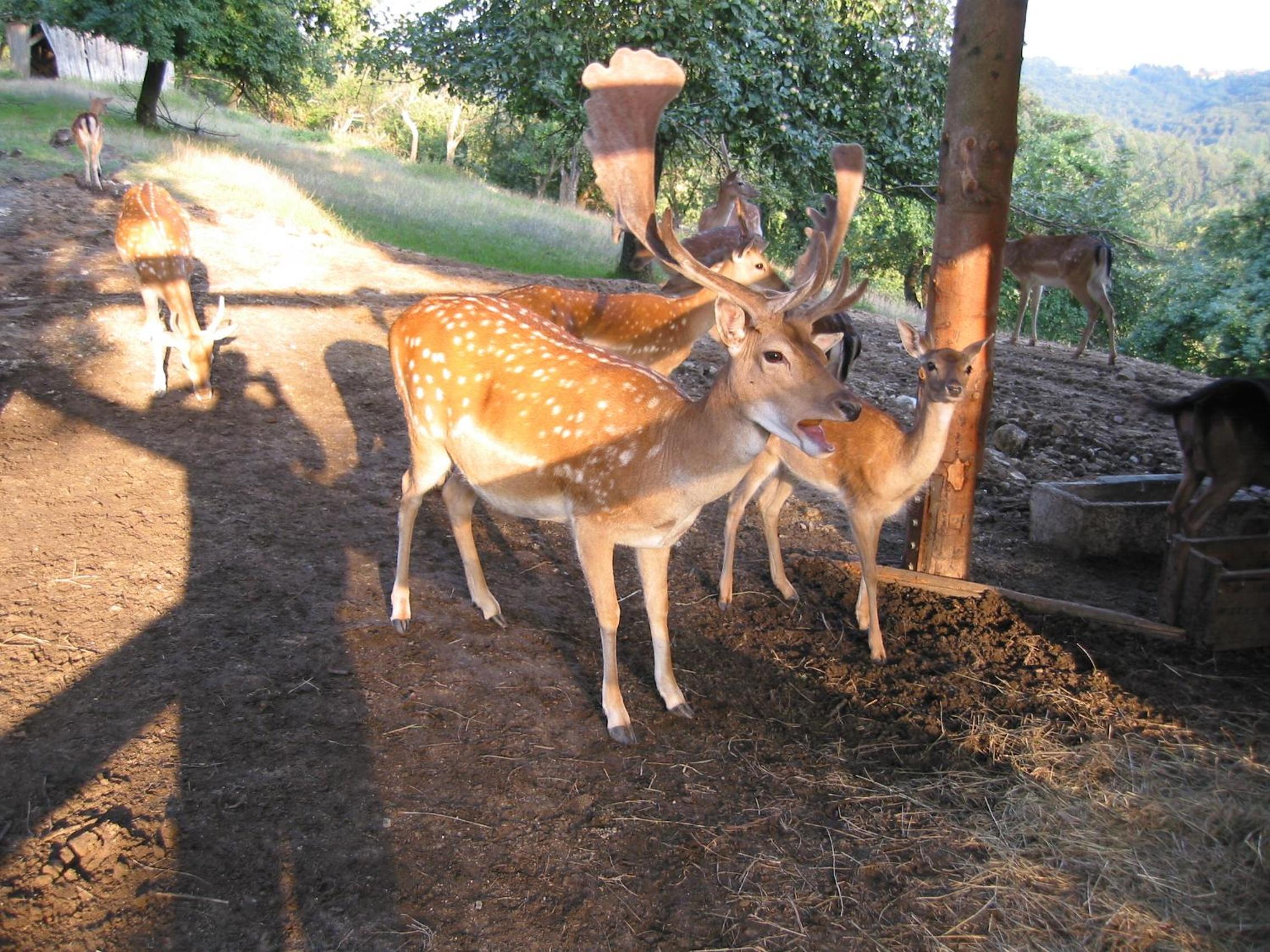 Photo 28