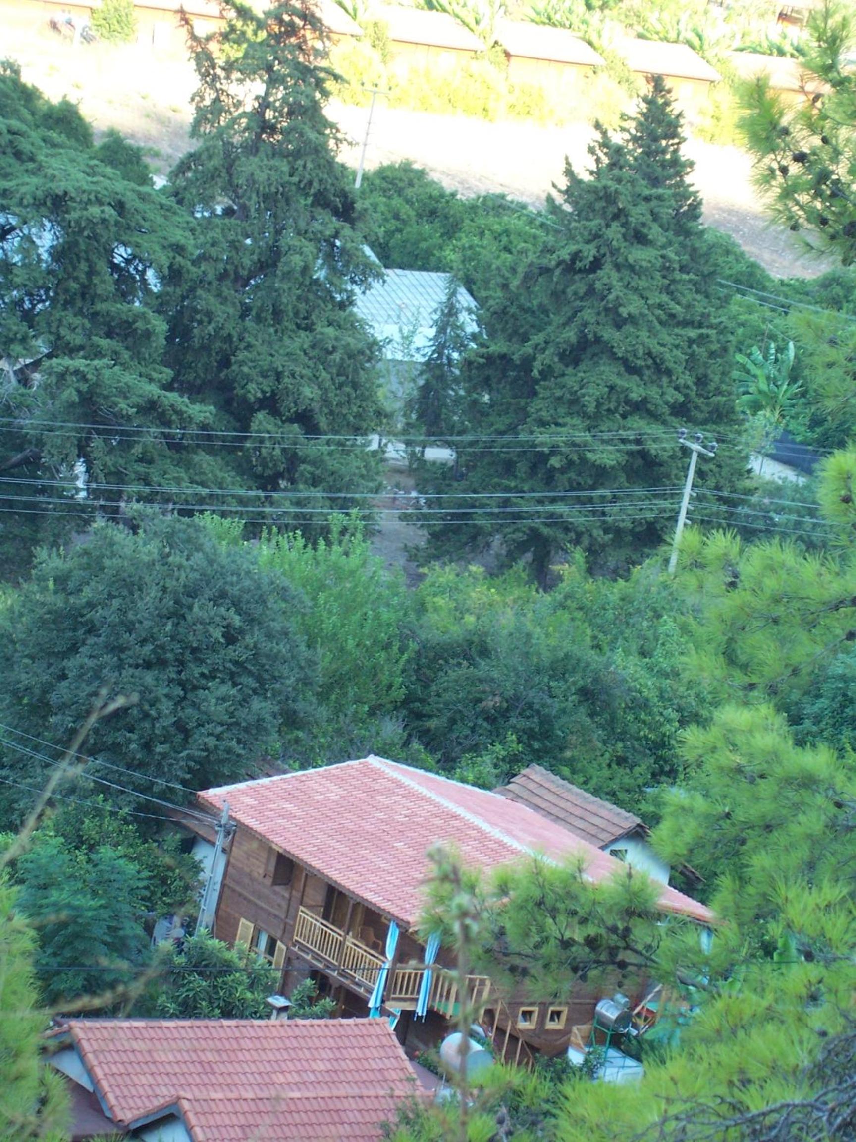 other