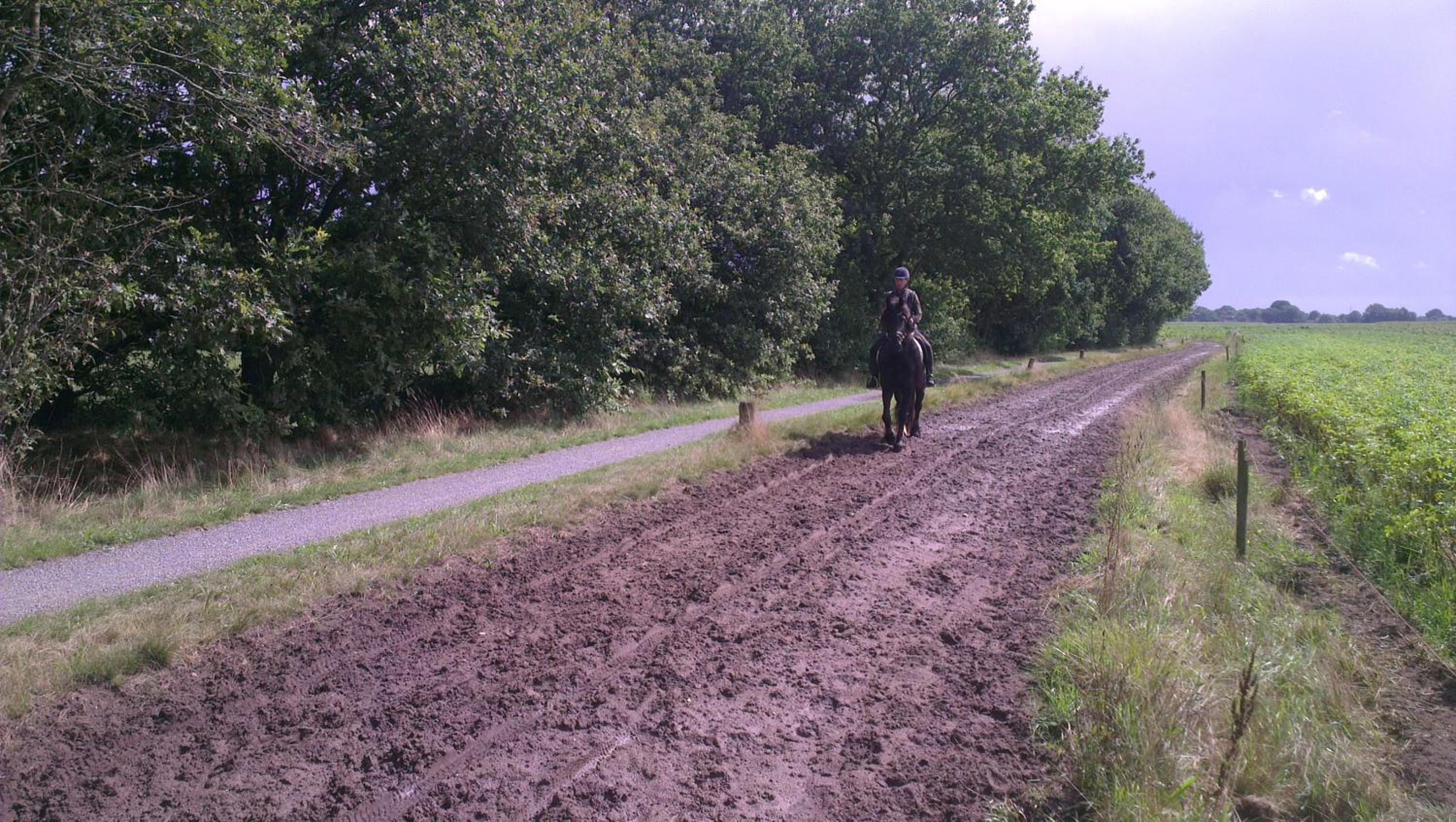 Photo 37