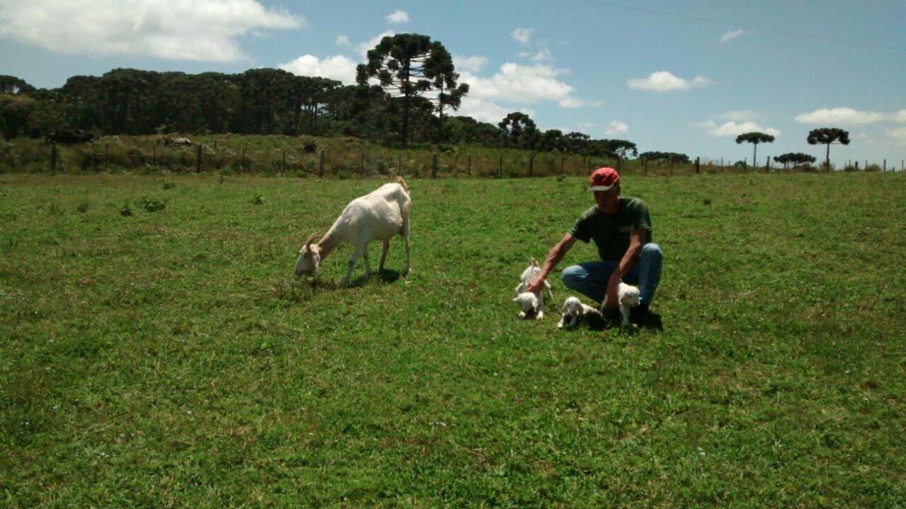 Chalés Rincão Comprido