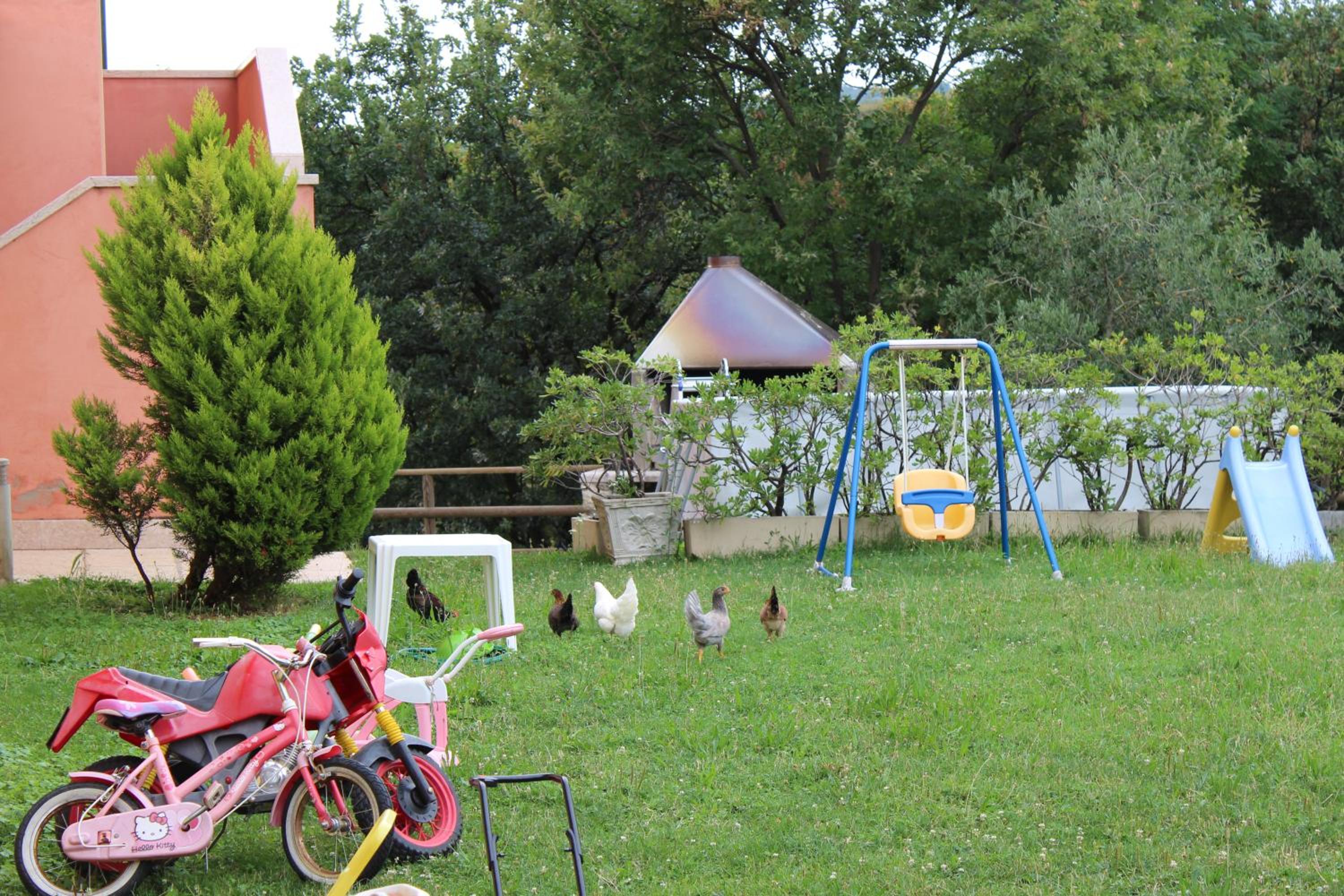 Photo 50
