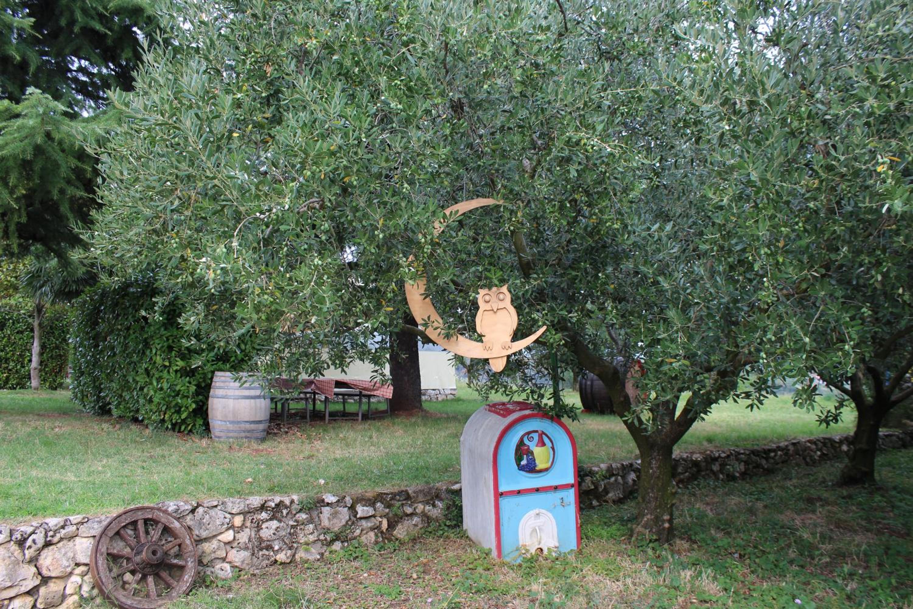 Photo 51