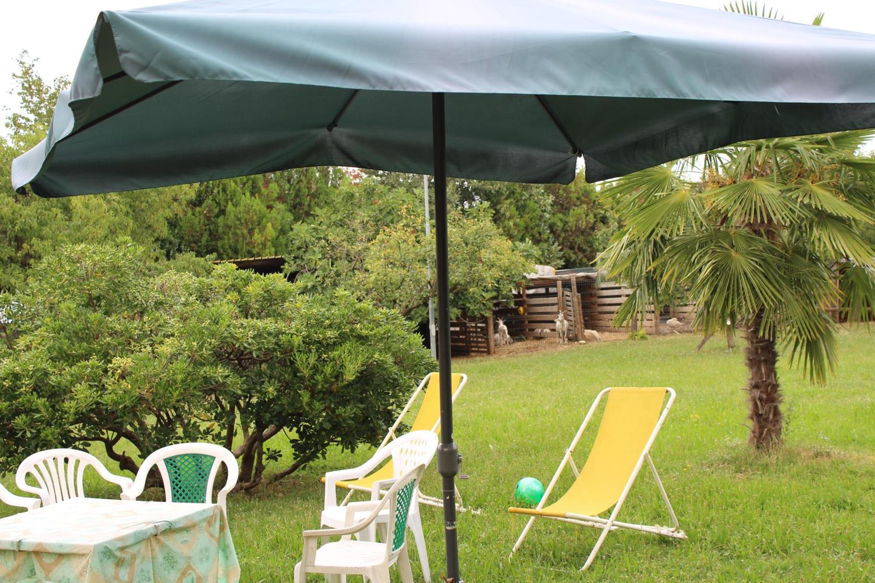 Photo 52