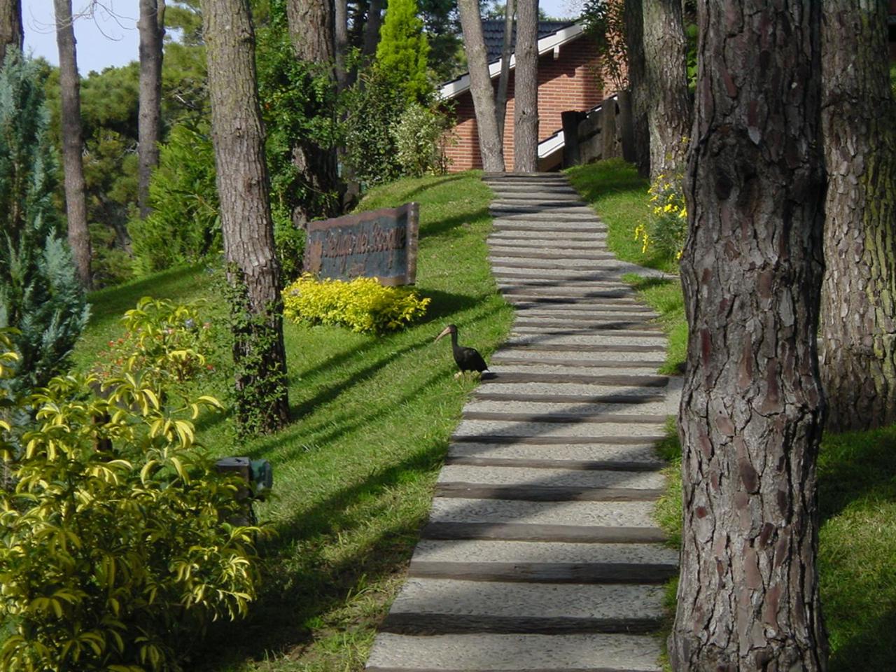 Refugio del Bosque