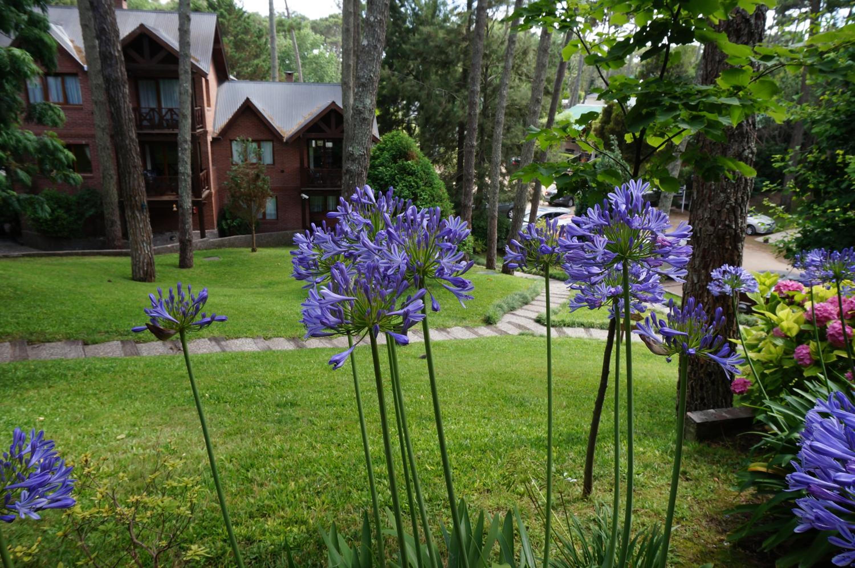 Refugio del Bosque