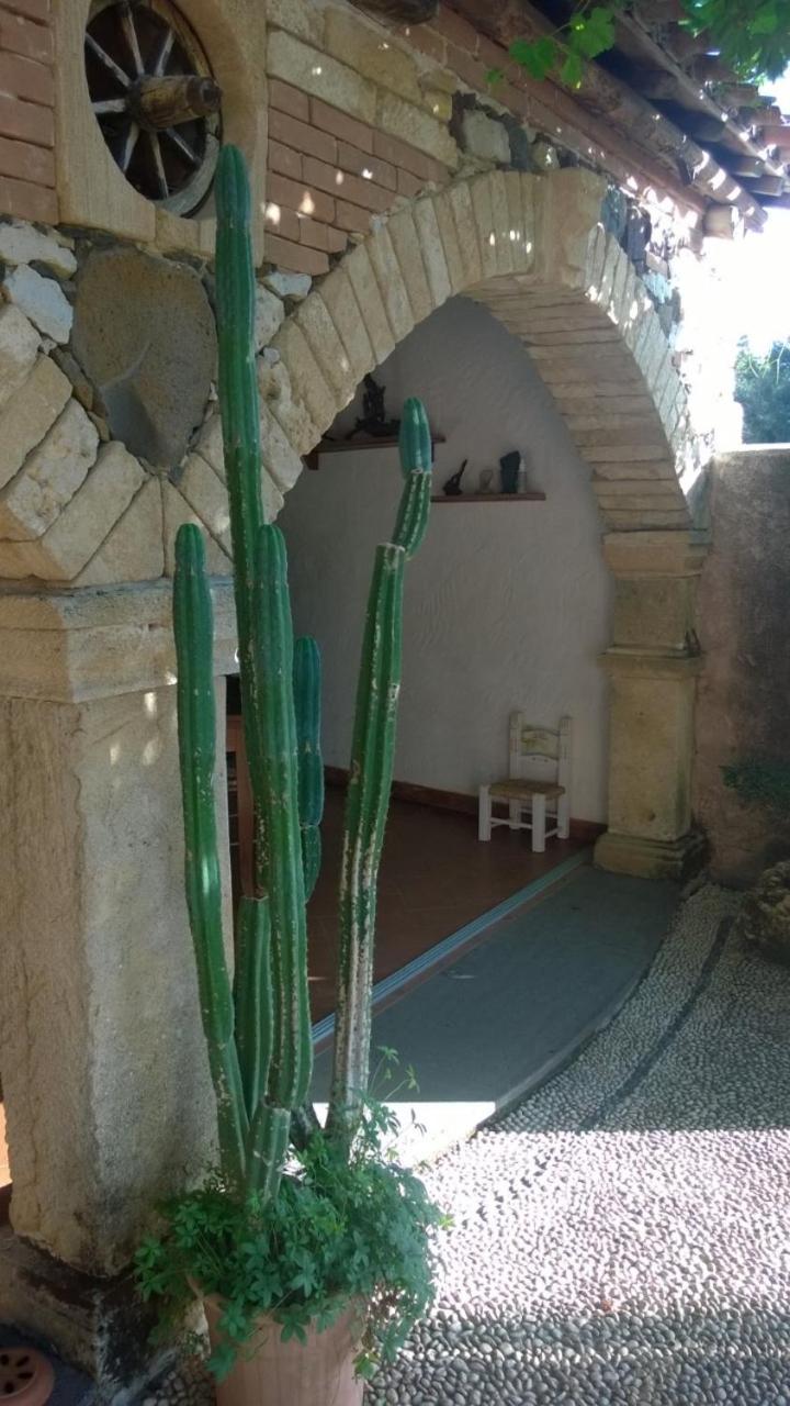 Photo 49