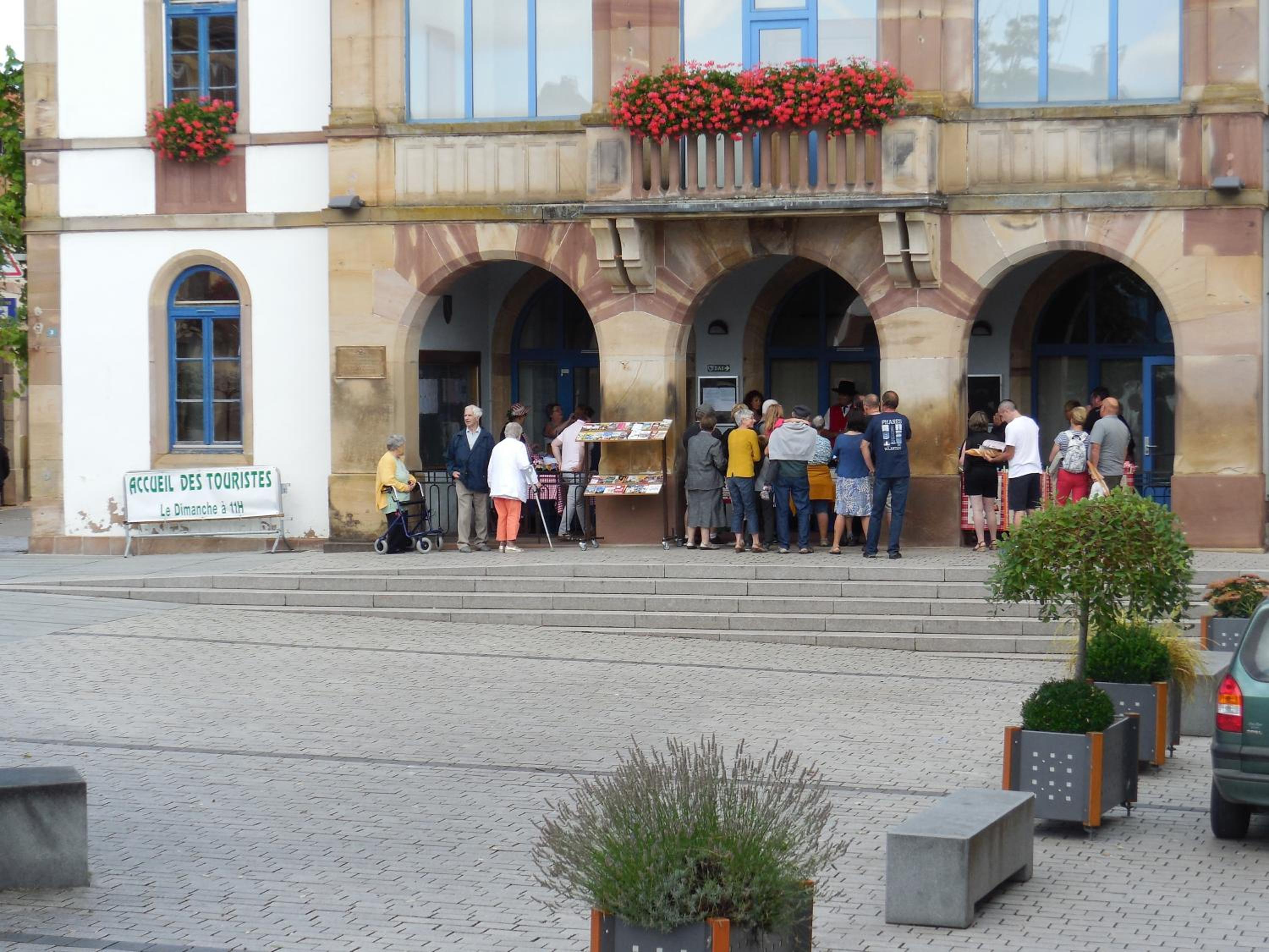 Photo 11