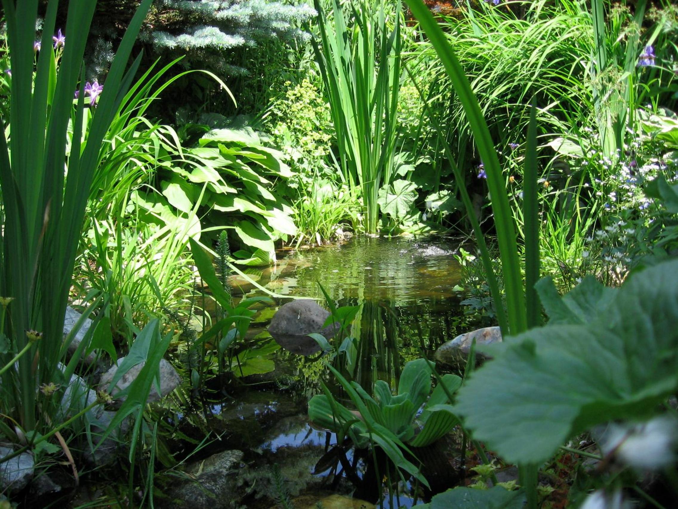 Photo 23
