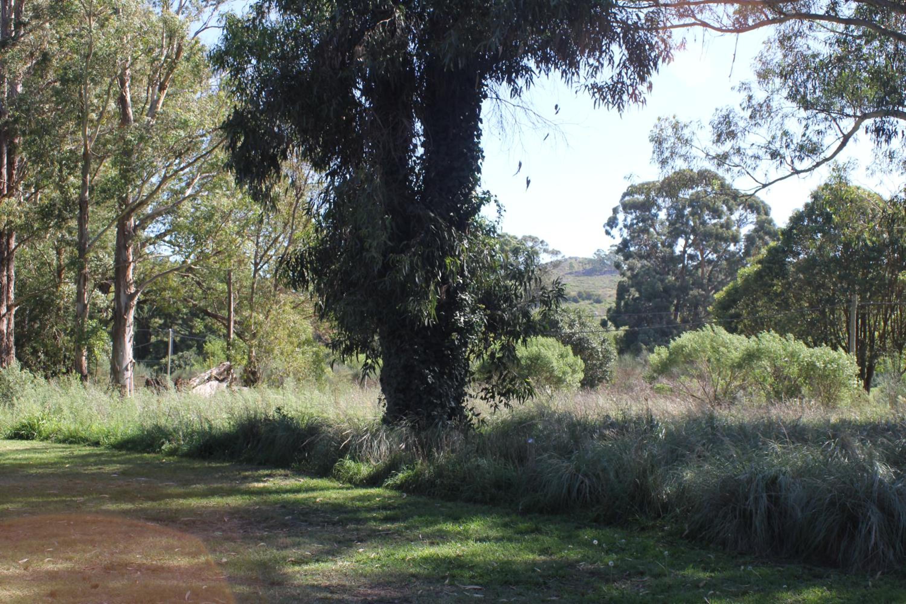 Quinta El Monte