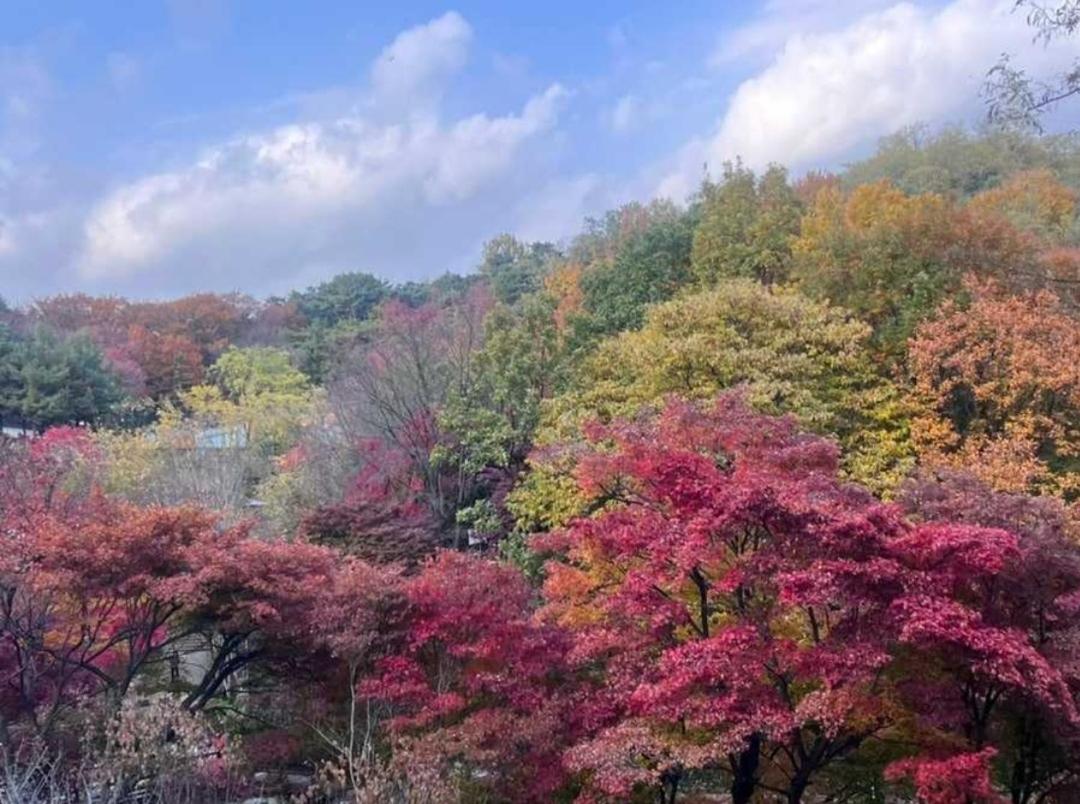 아차산역 4분 넓은 3룸 단독사용 무료주차 8인숙소 어린이대공원 kspo 레트로게임 미니솜사탕