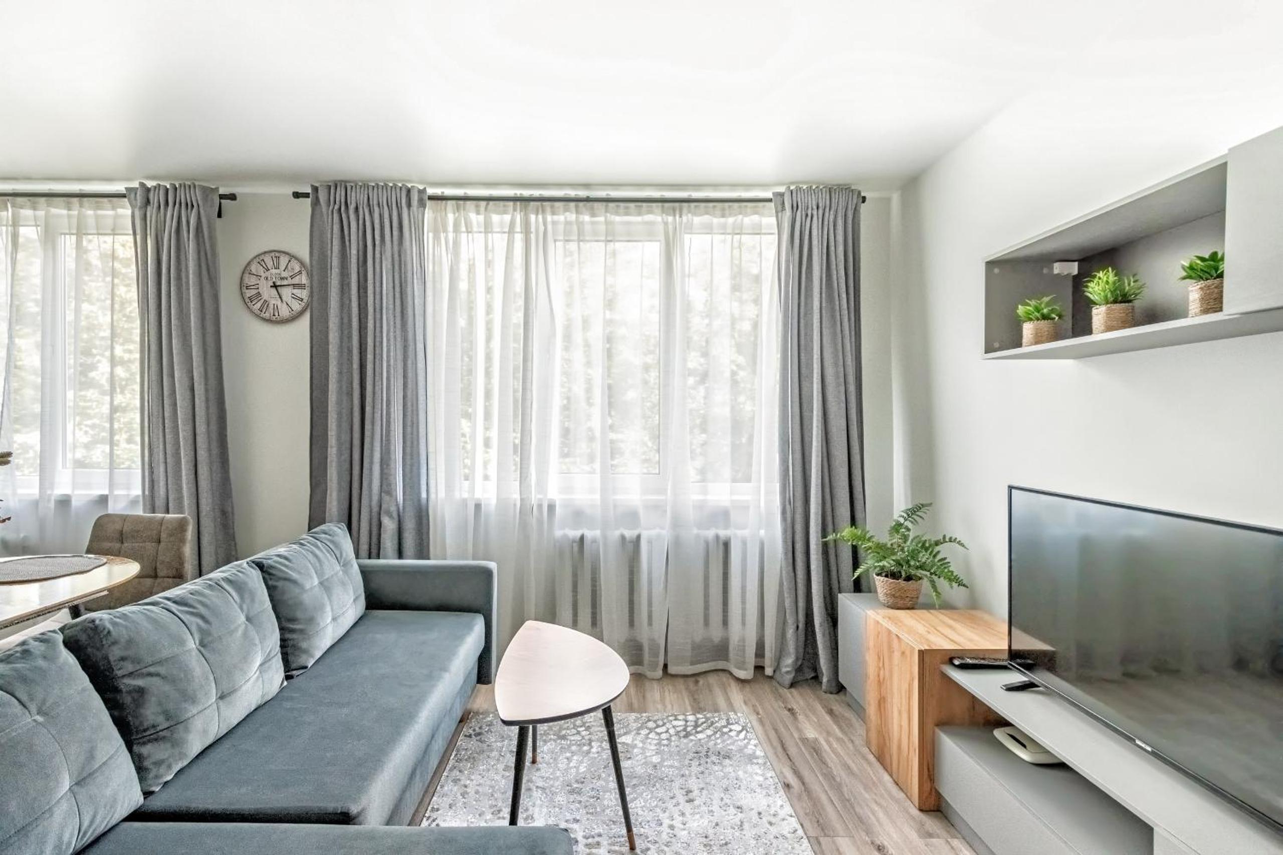 Cozy Studio