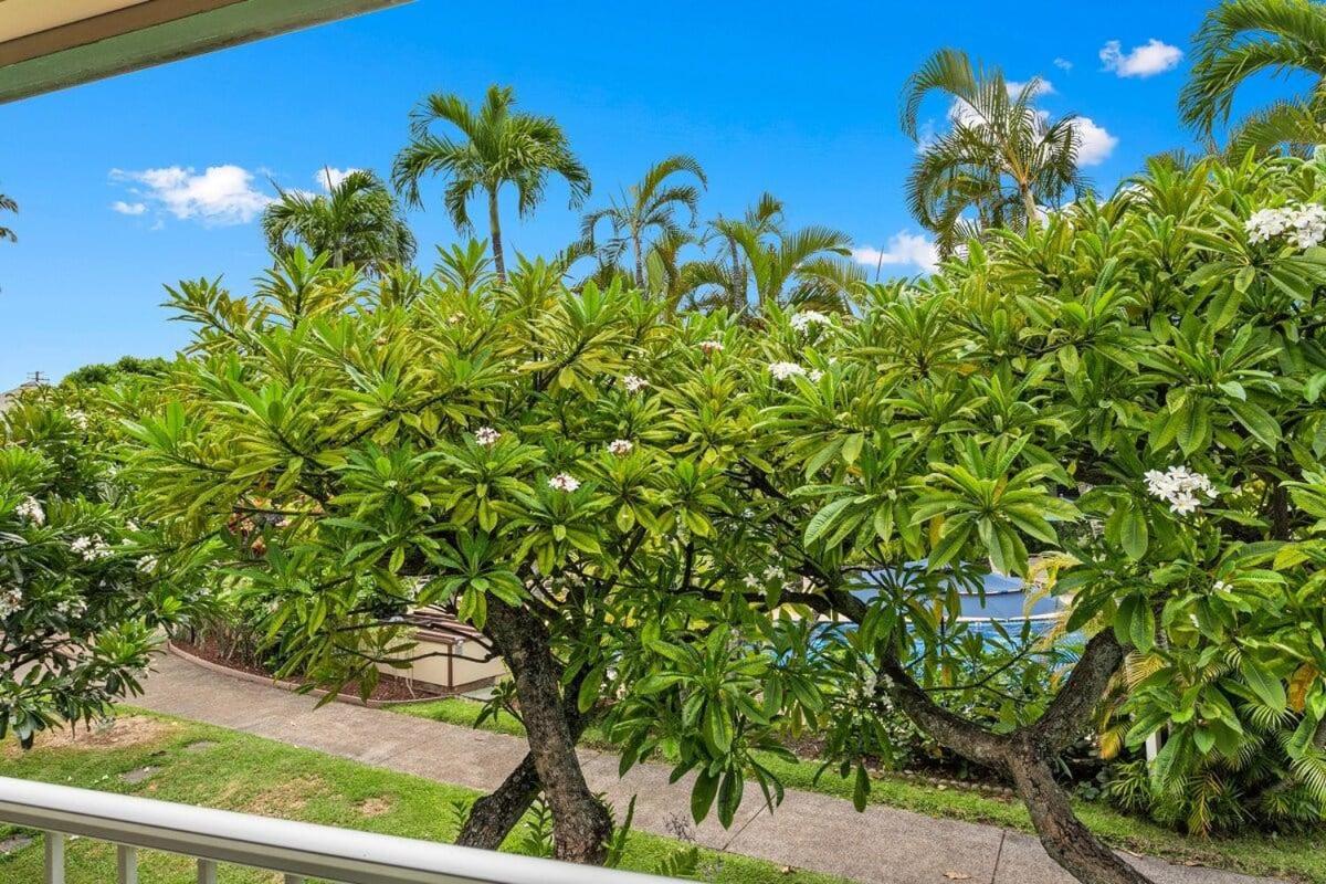 Napili Shores D227 · NS D227 OceanFront Resort w Pool