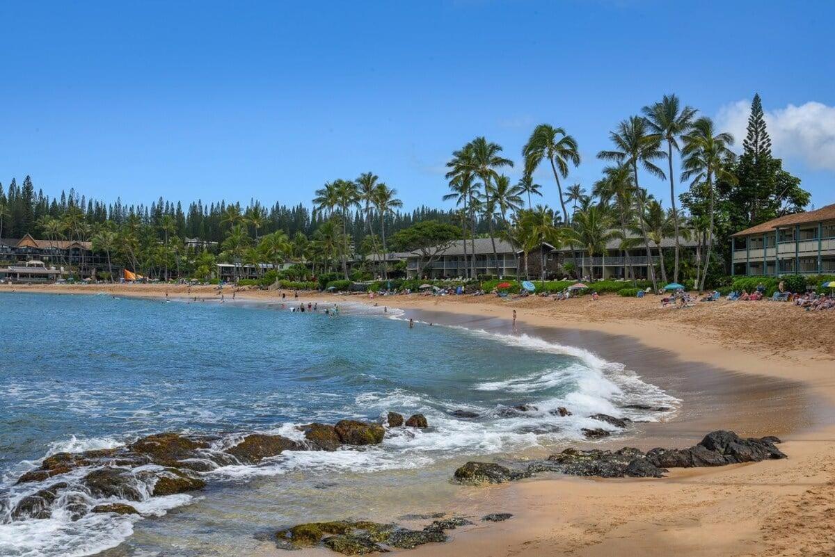 Napili Shores D227 · NS D227 OceanFront Resort w Pool