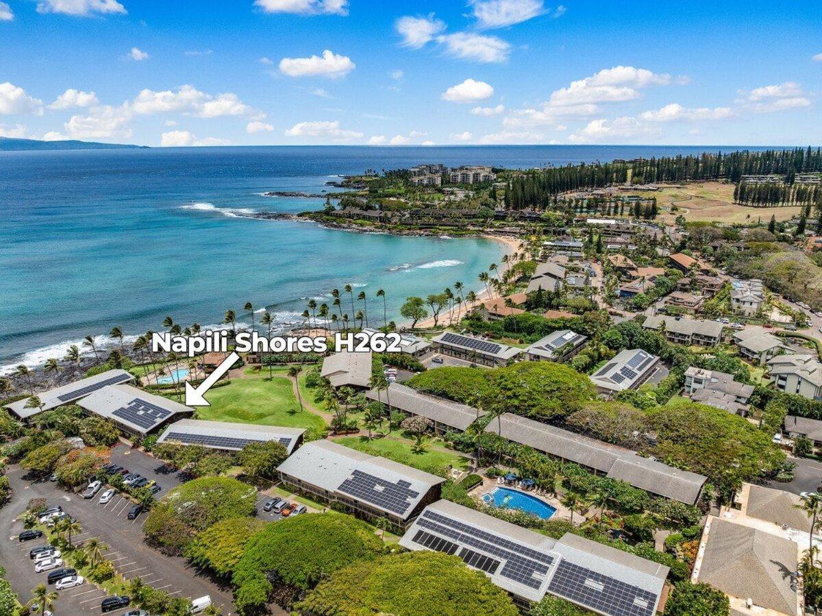 Napili Shores H262 · NS H262 BeachFront Condo Ocean Views Pool H