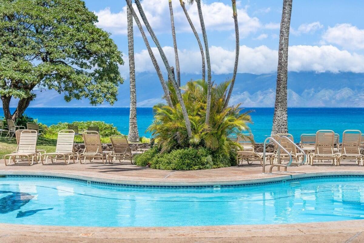 Napili Shores H262 · NS H262 BeachFront Condo Ocean Views Pool H